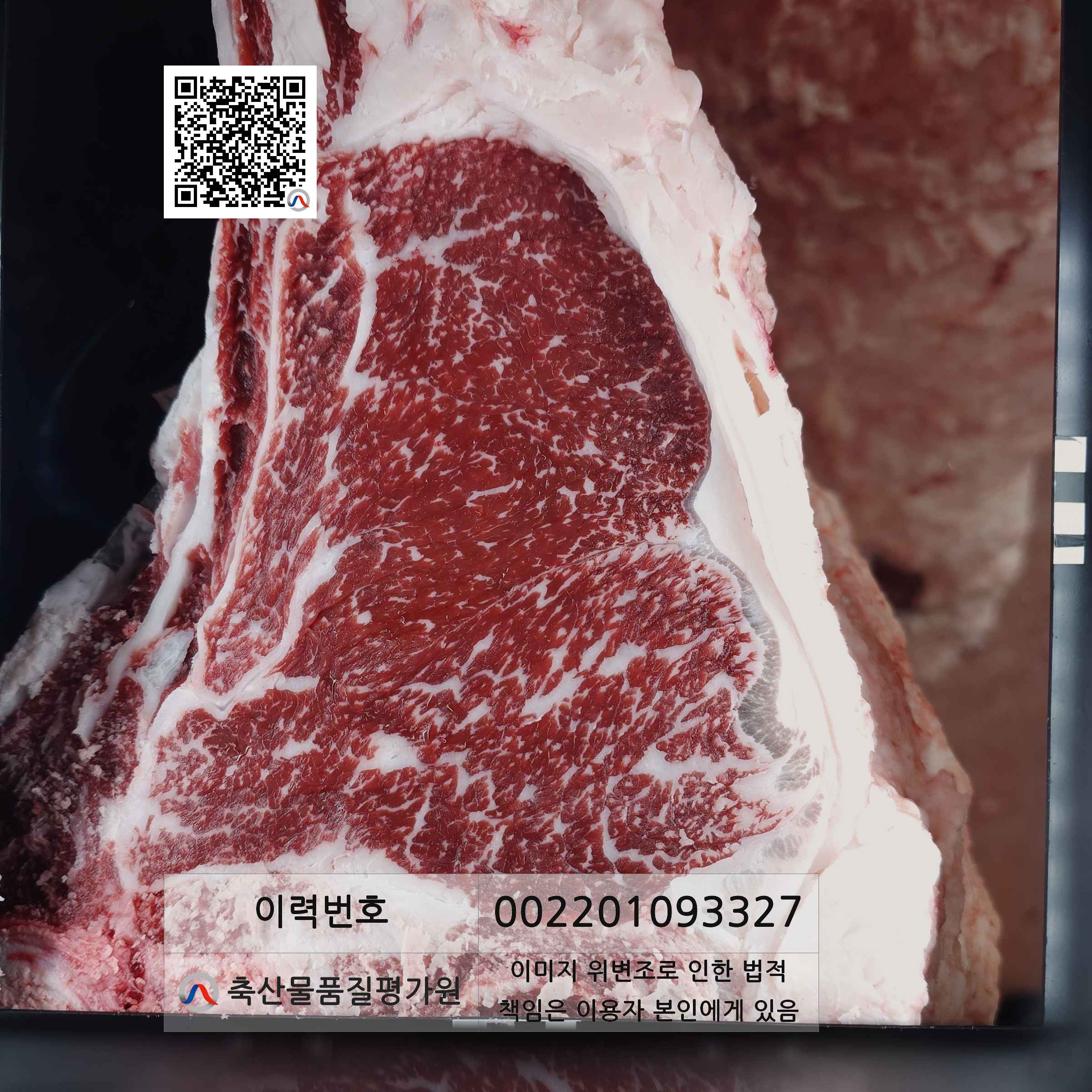 등심단면적 사진