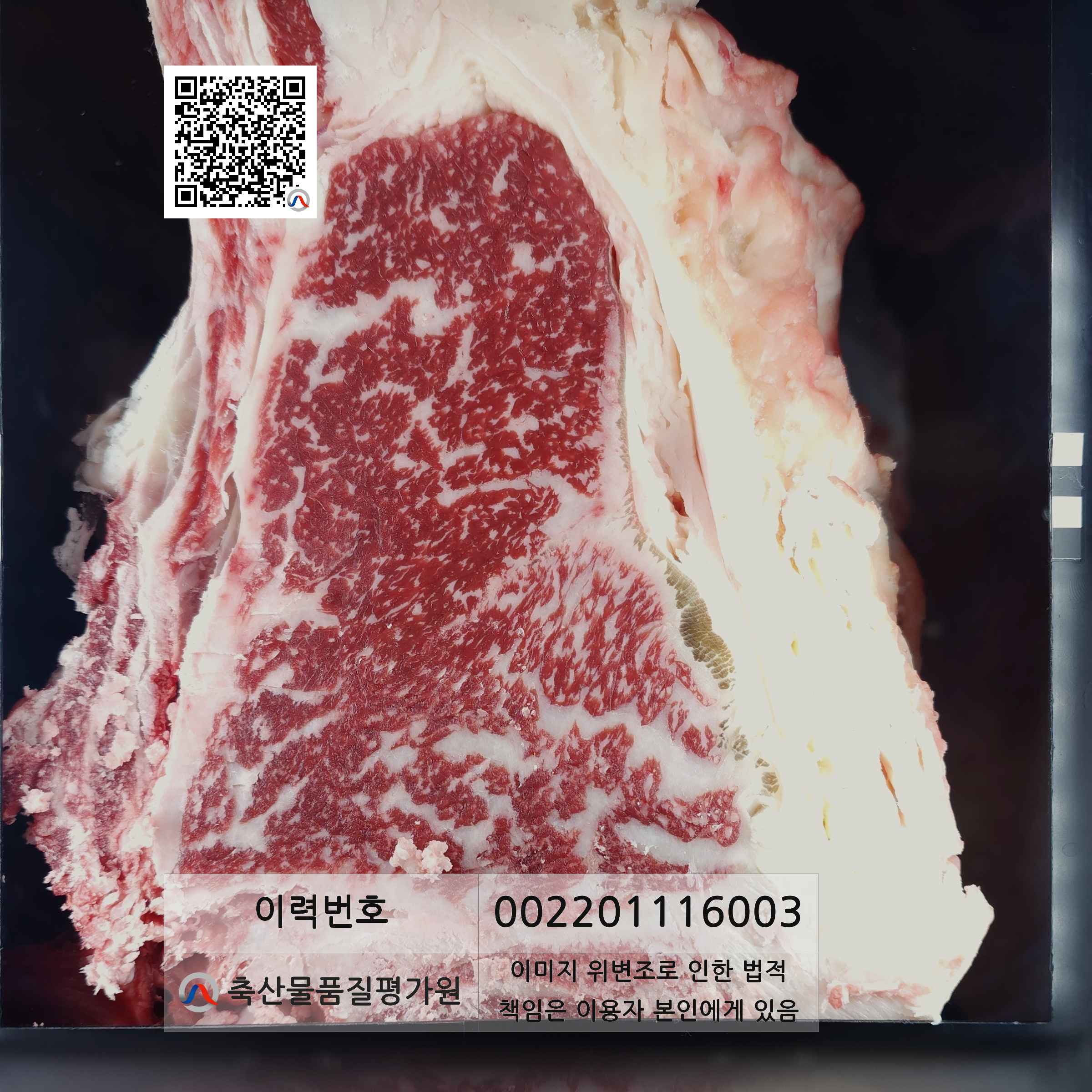 등심단면적 사진
