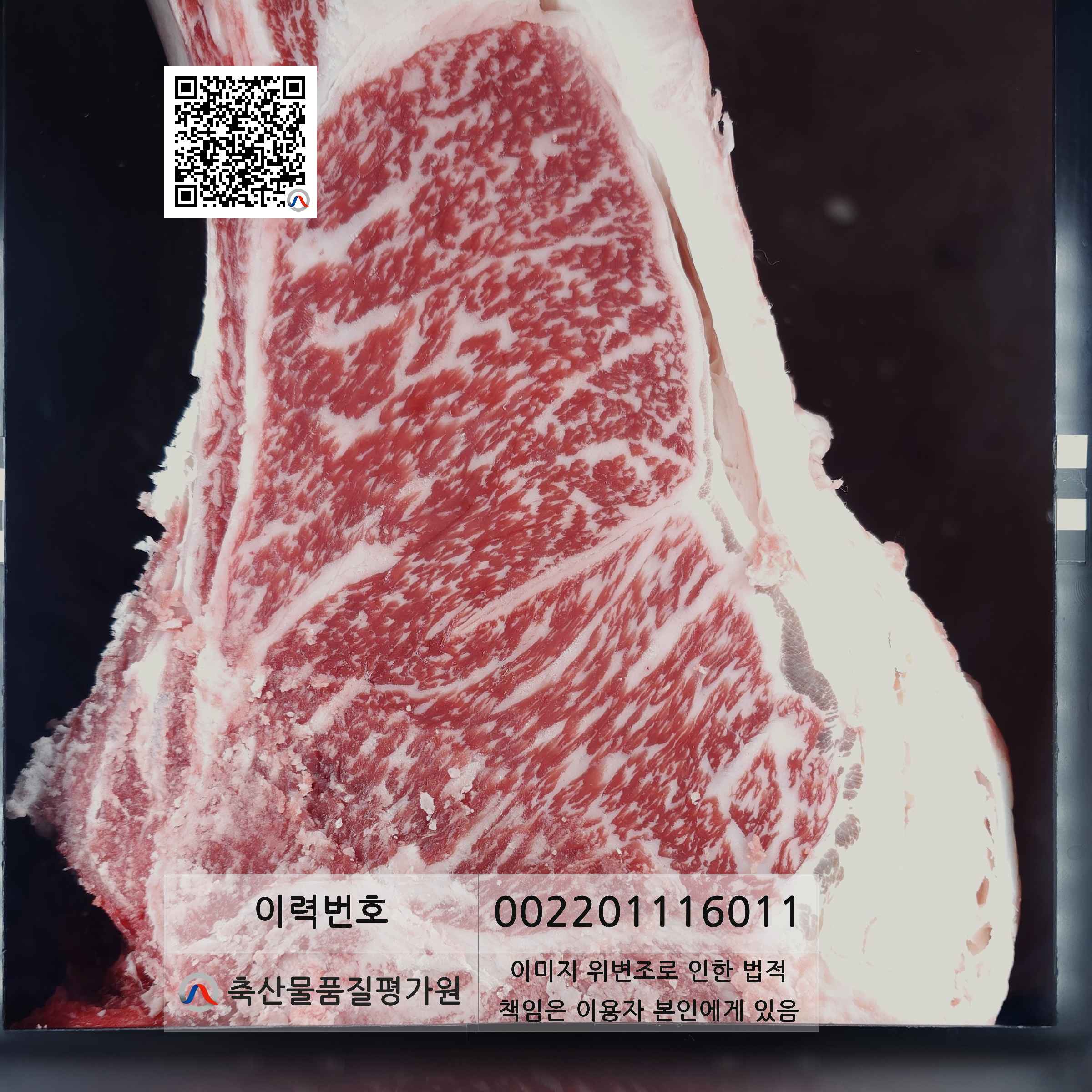 등심단면적 사진
