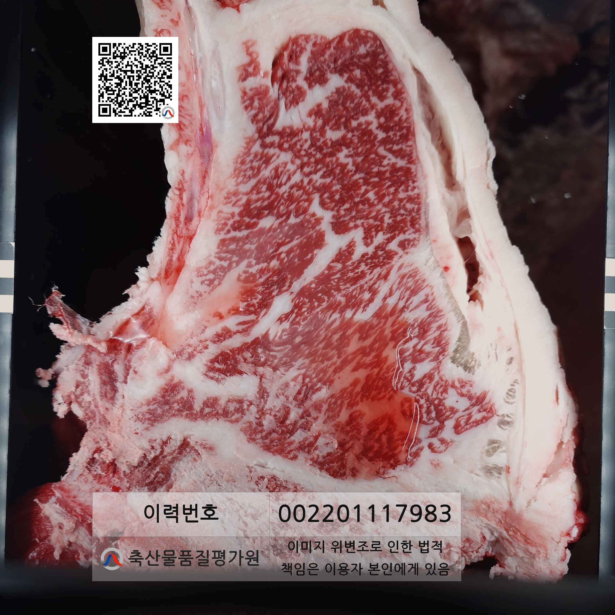 등심단면적 사진