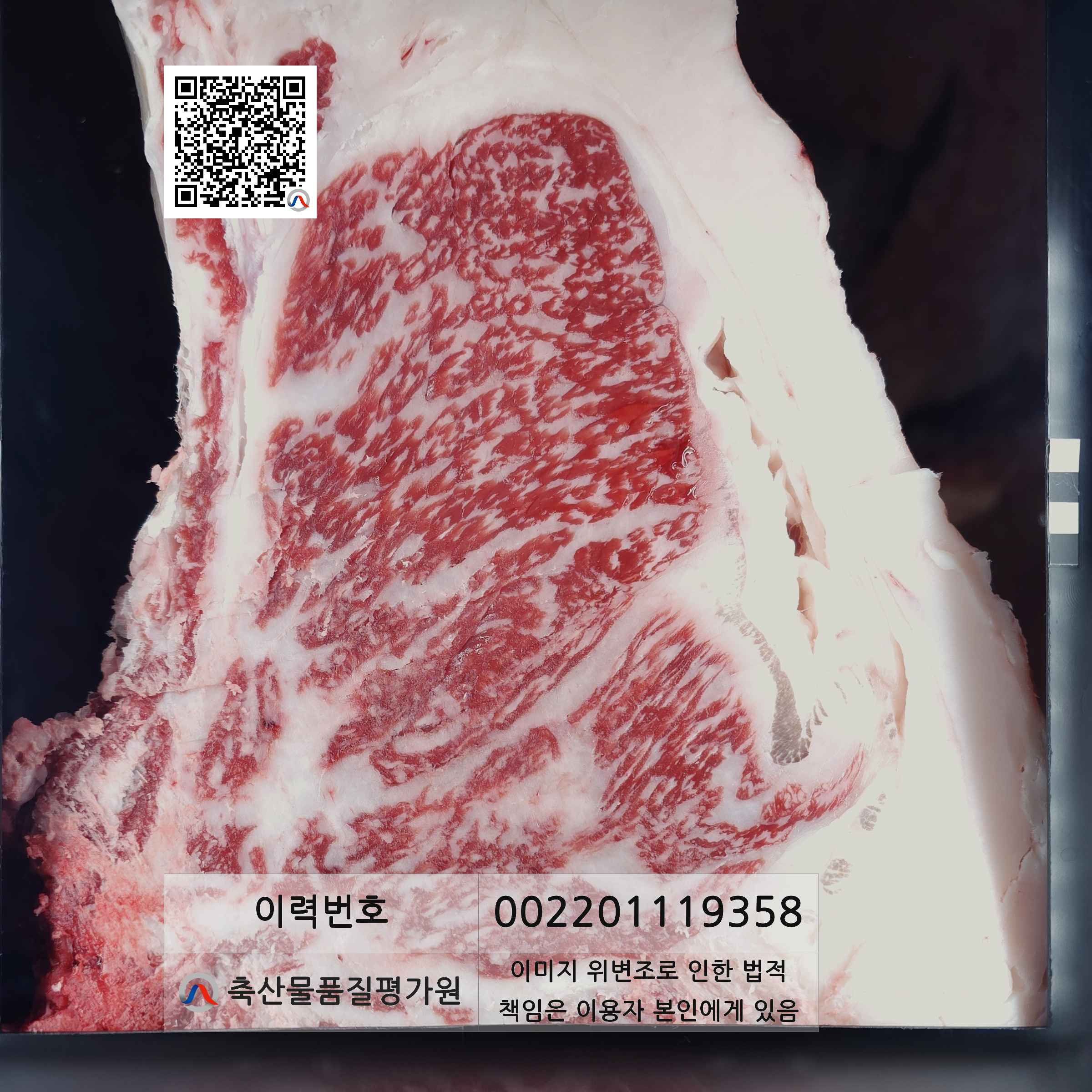 등심단면적 사진