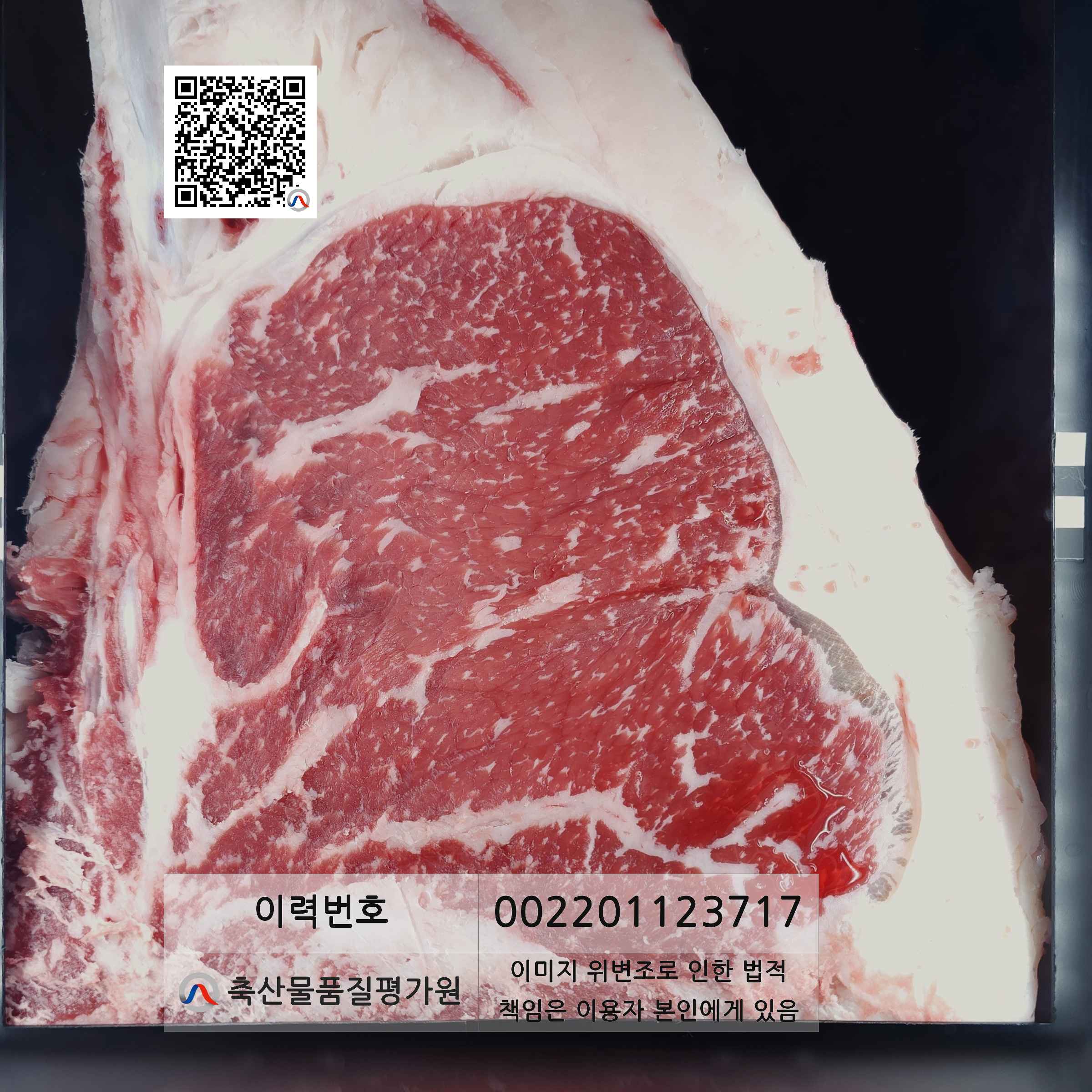 등심단면적 사진