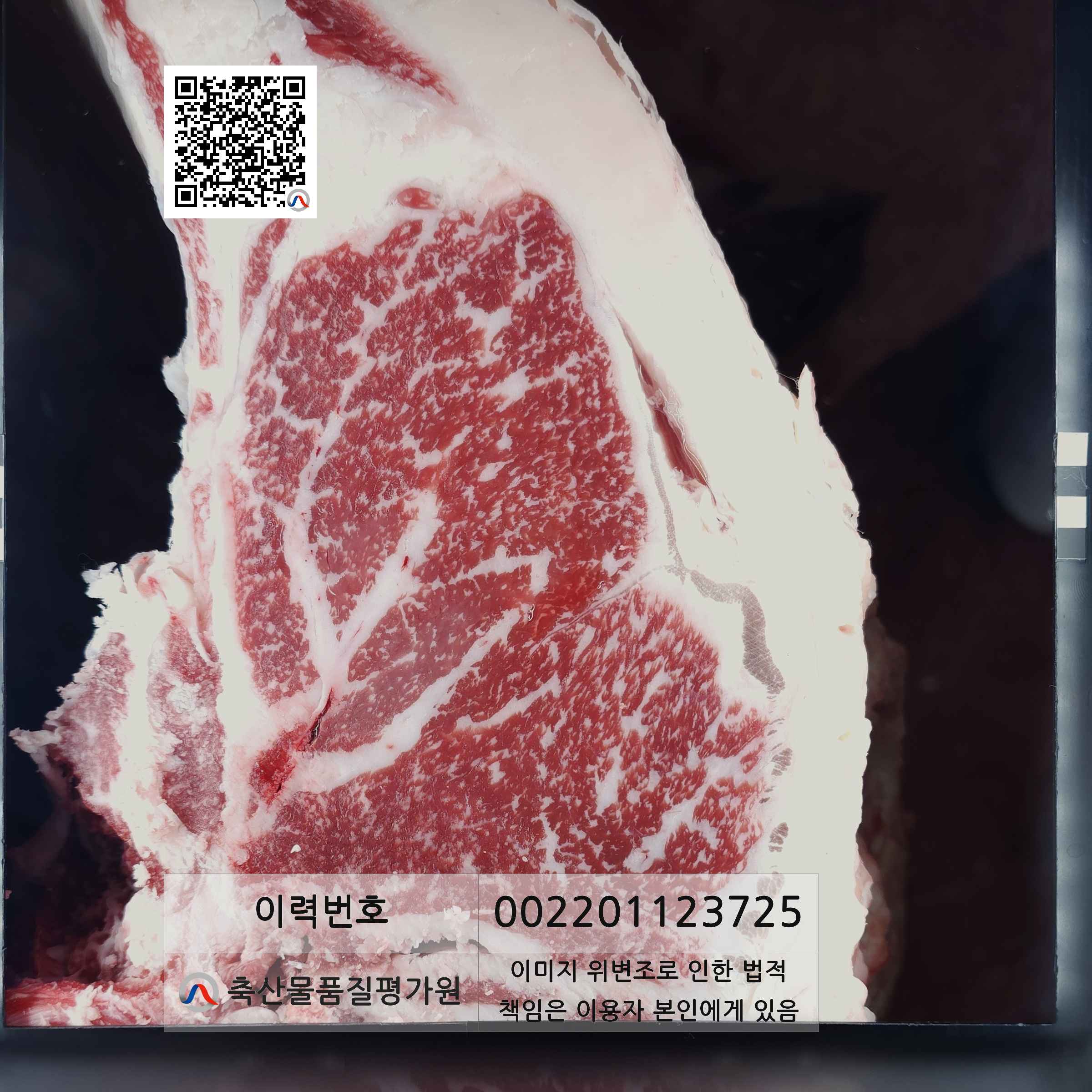 등심단면적 사진