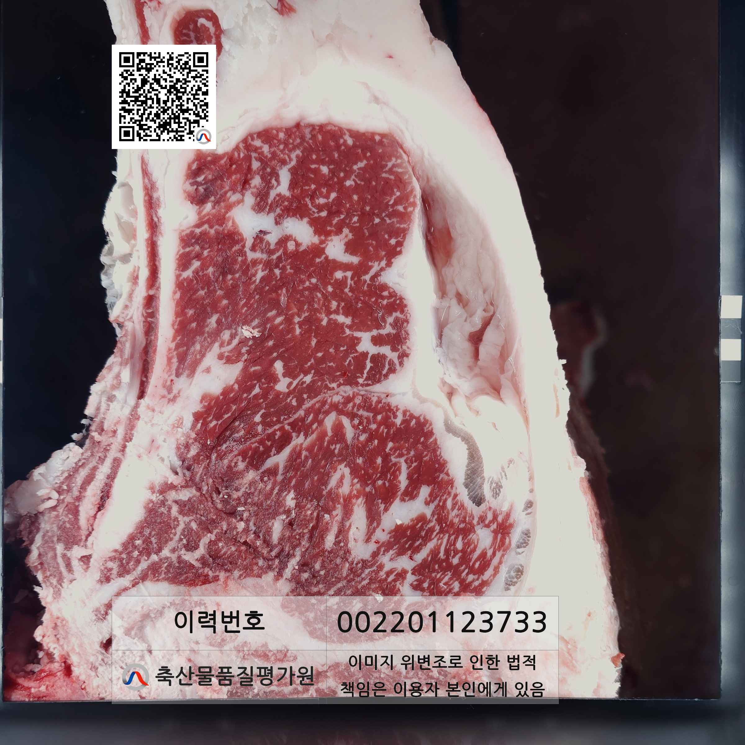 등심단면적 사진