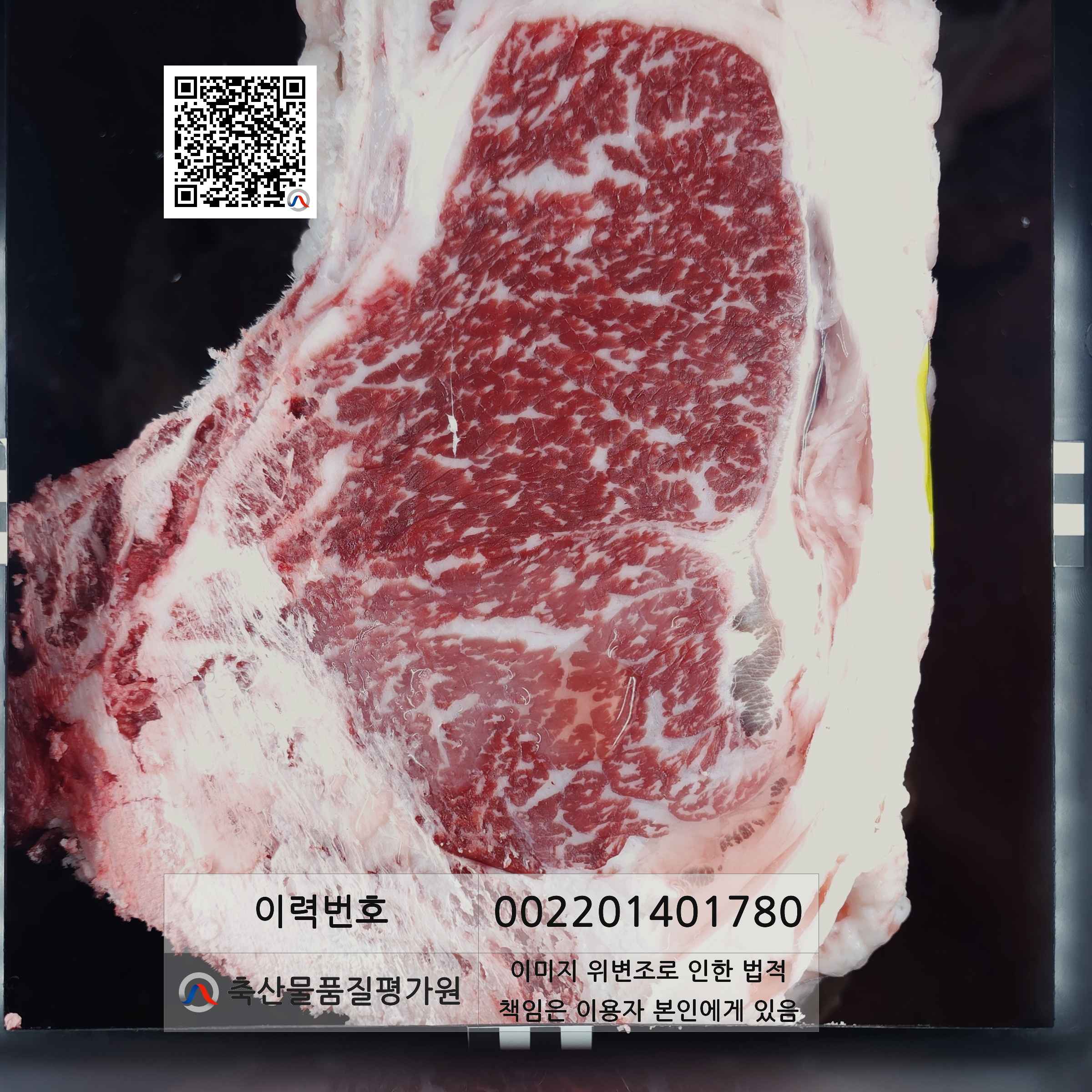 등심단면적 사진