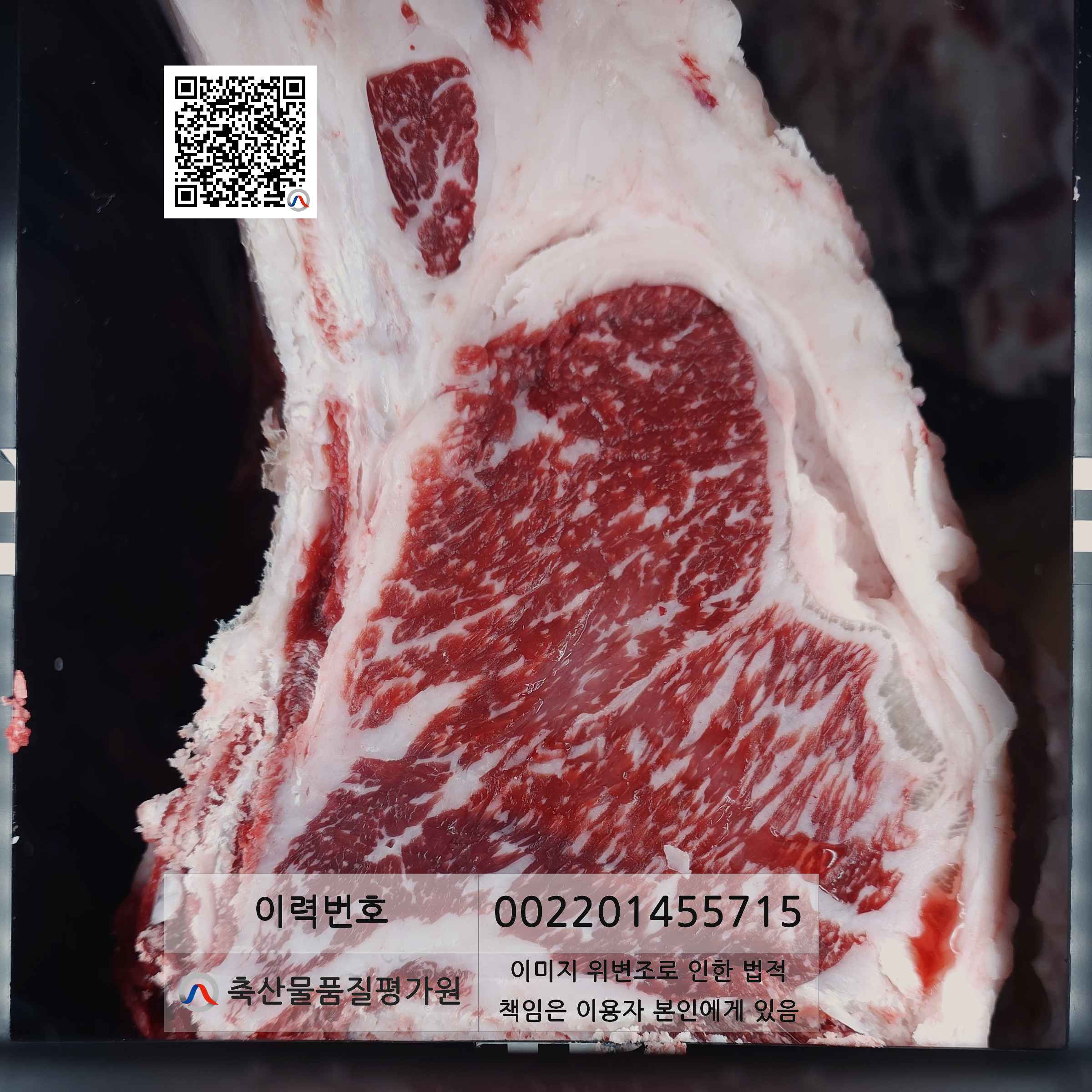 등심단면적 사진