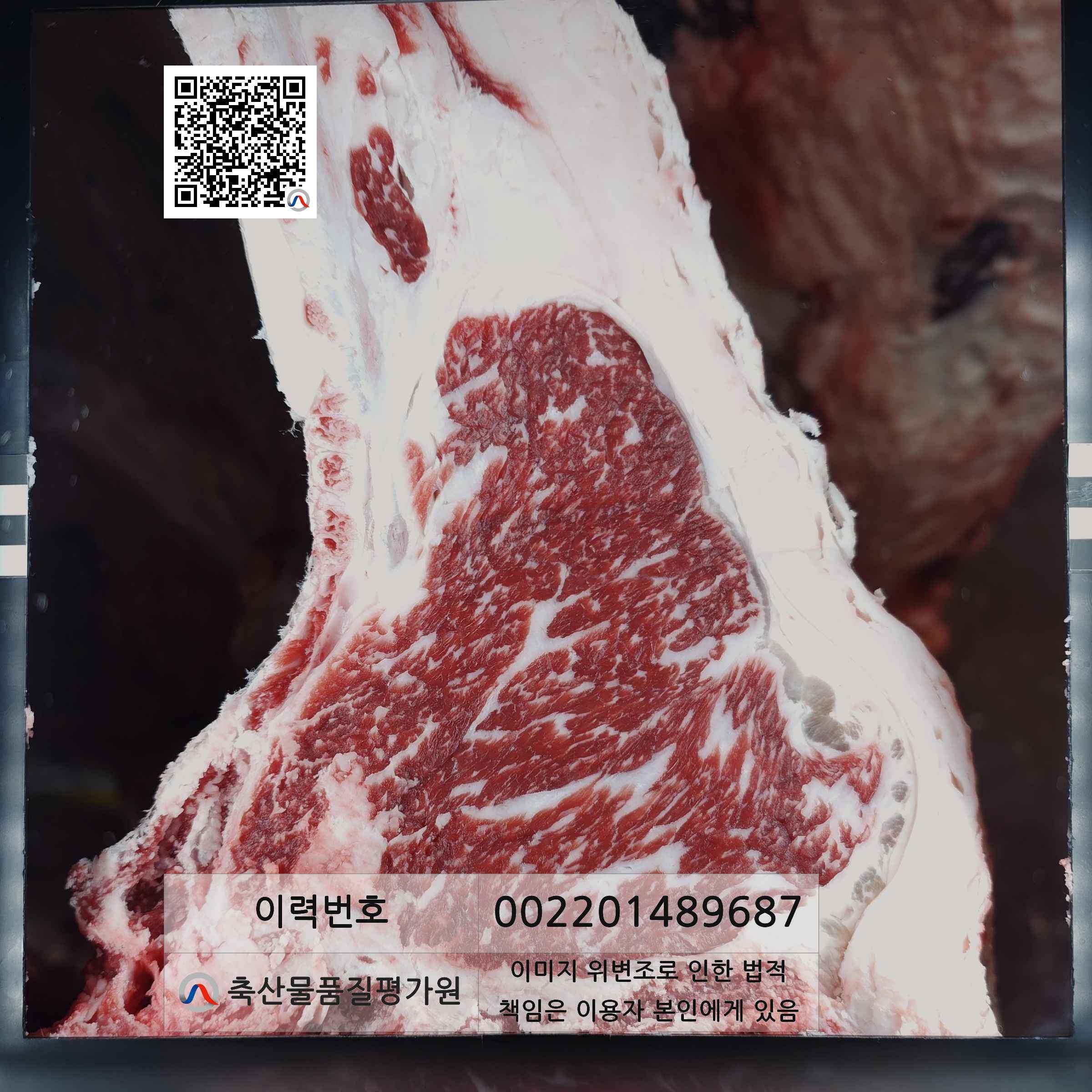 등심단면적 사진