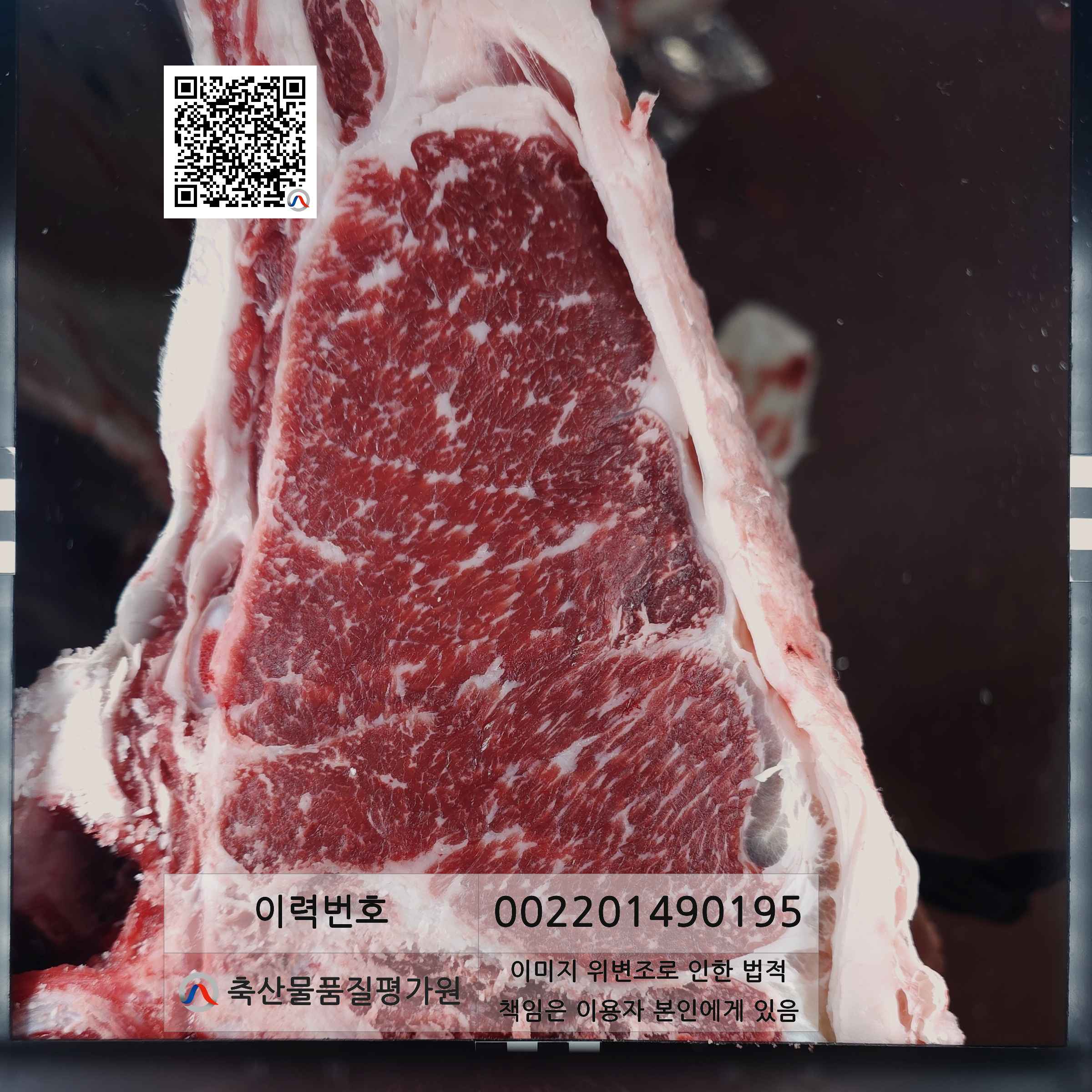 등심단면적 사진