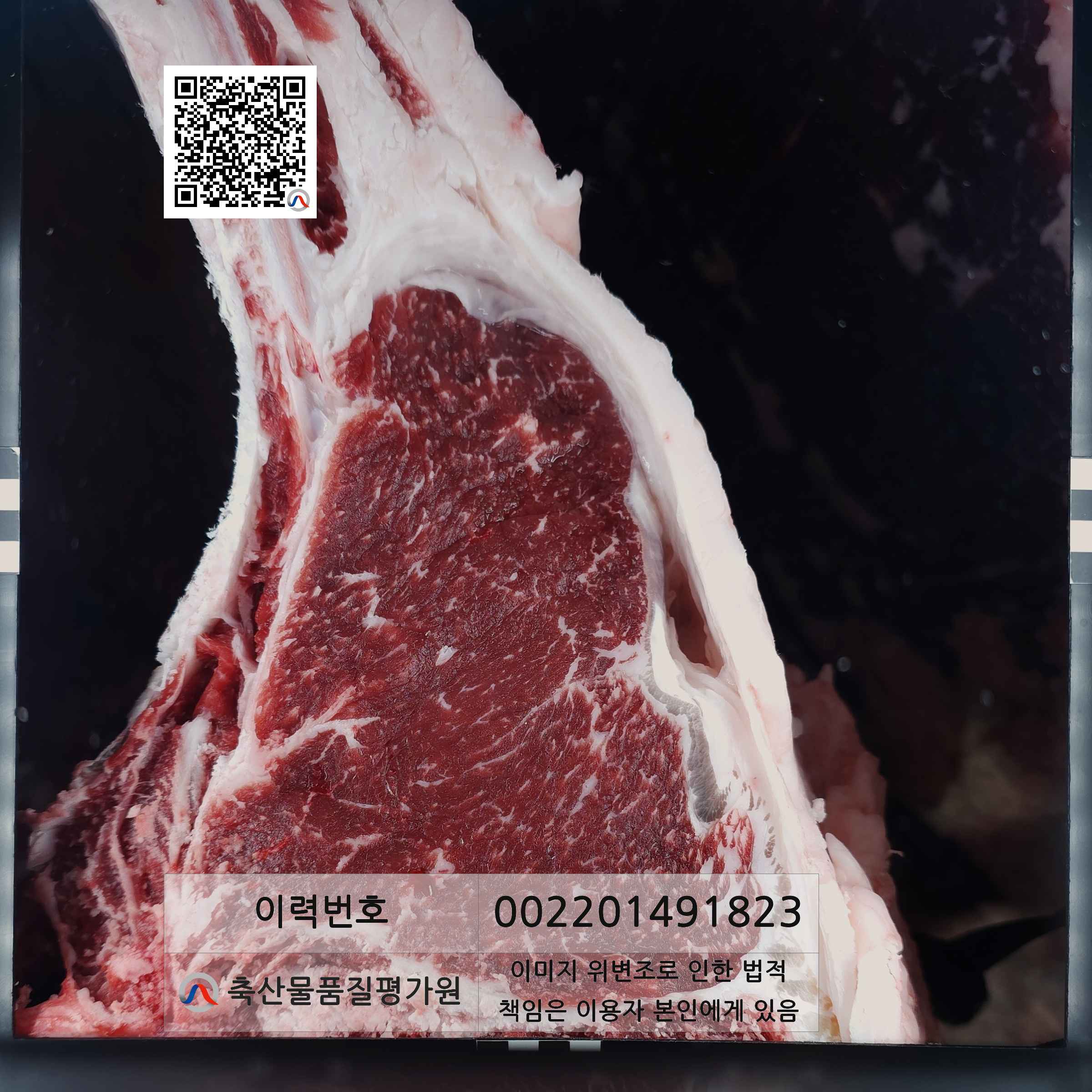 등심단면적 사진