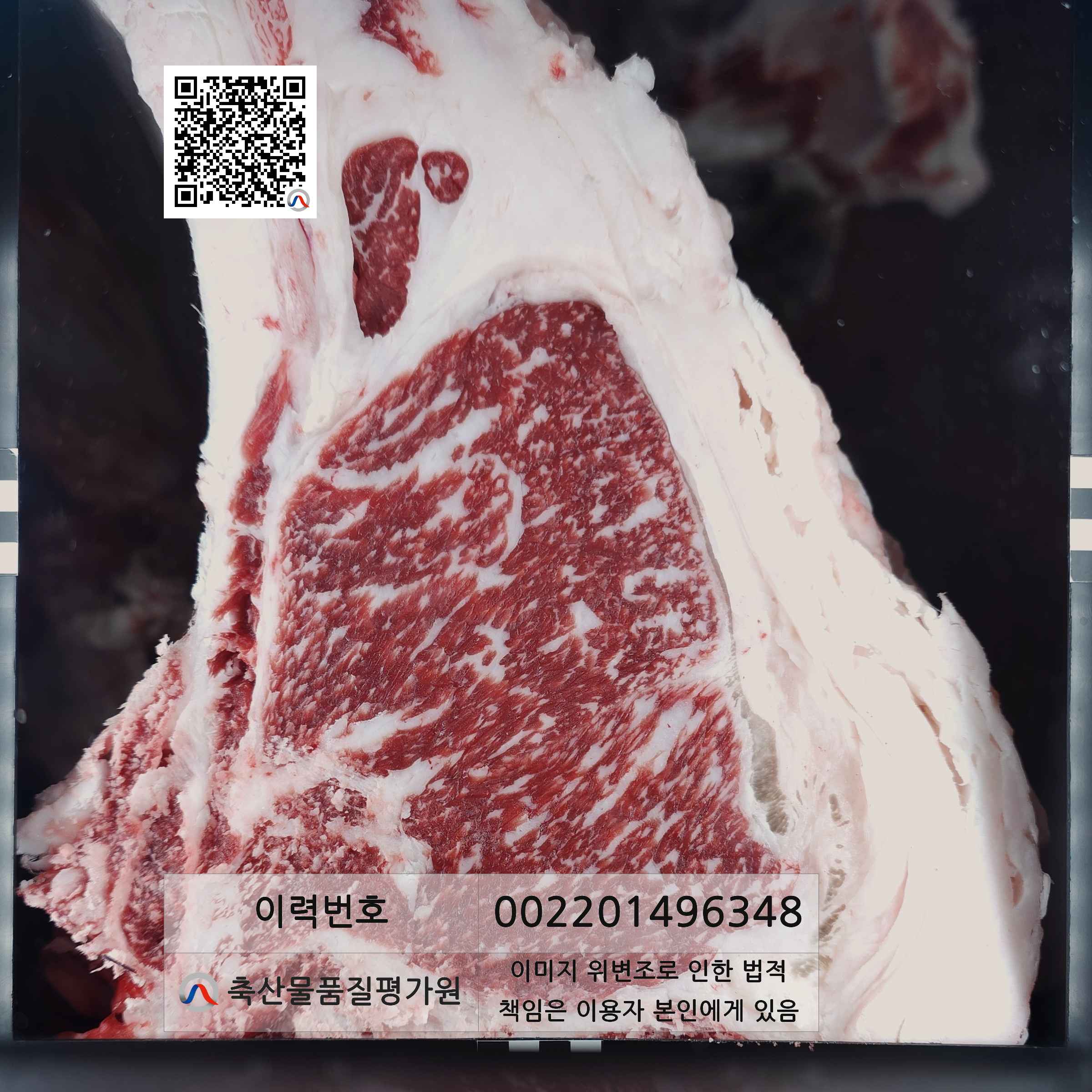 등심단면적 사진