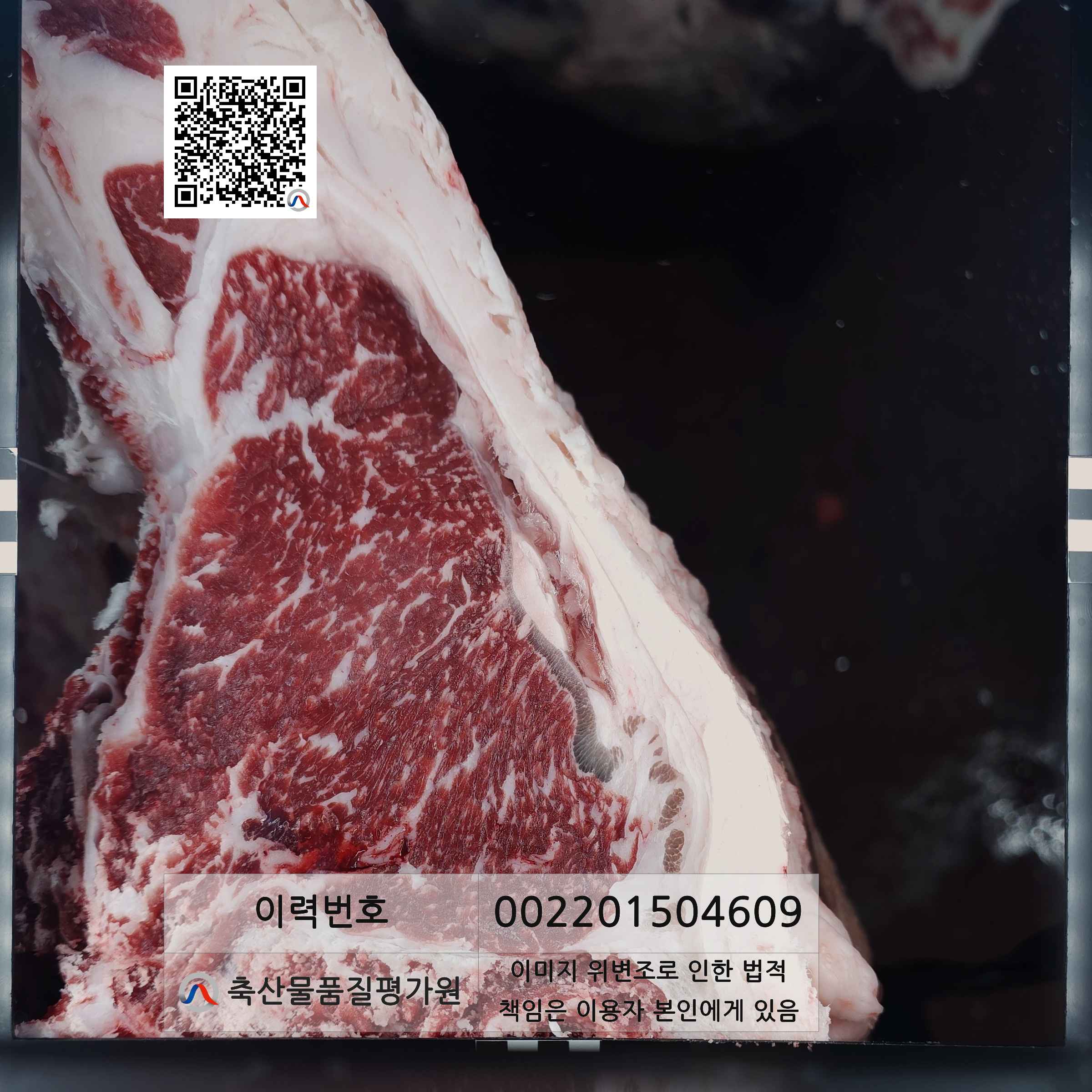 등심단면적 사진