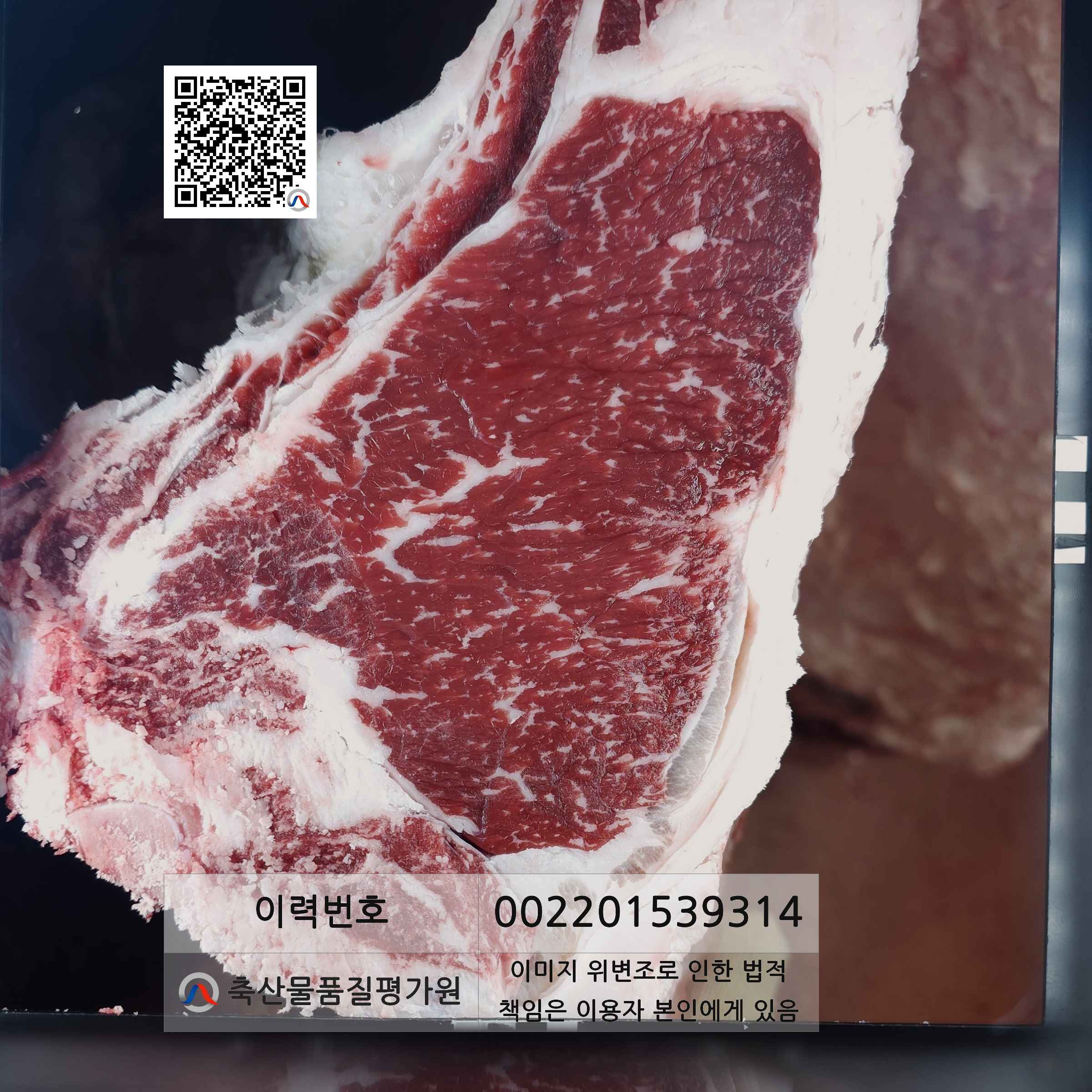 등심단면적 사진