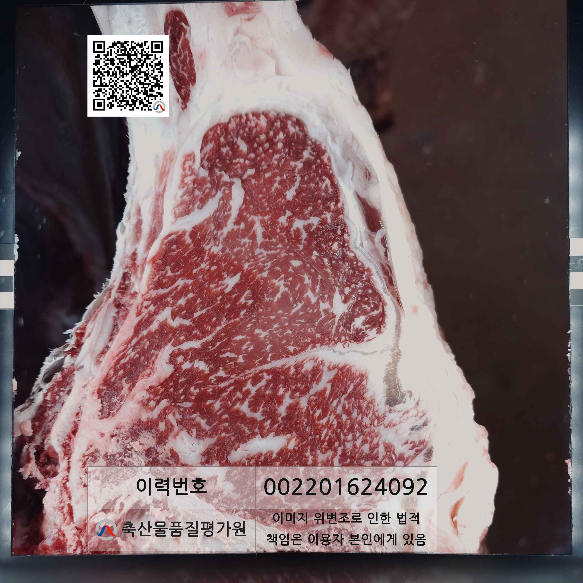 등심단면적 사진
