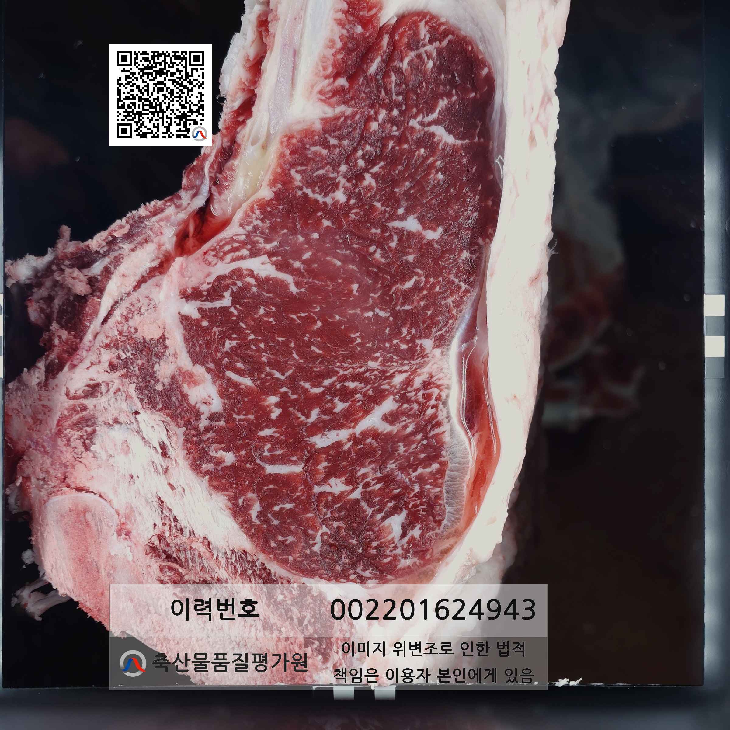 등심단면적 사진