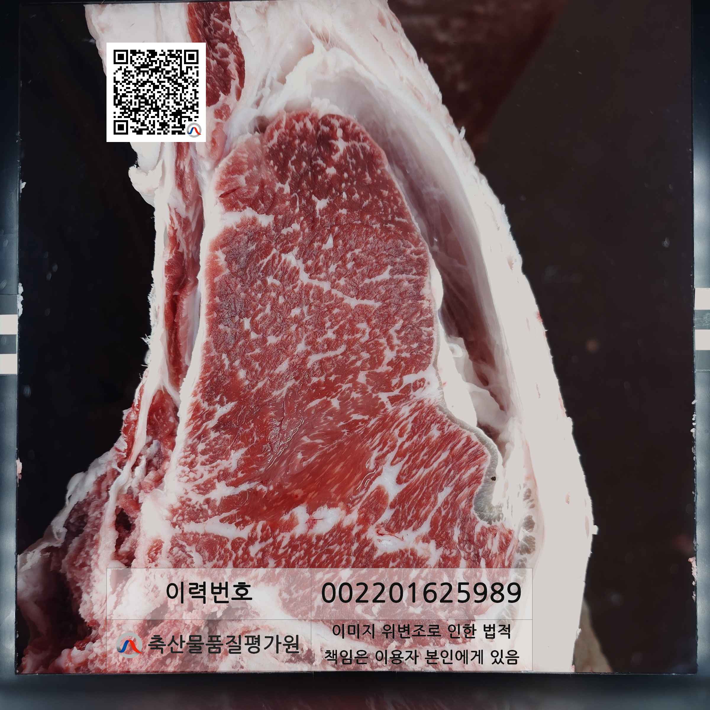 등심단면적 사진