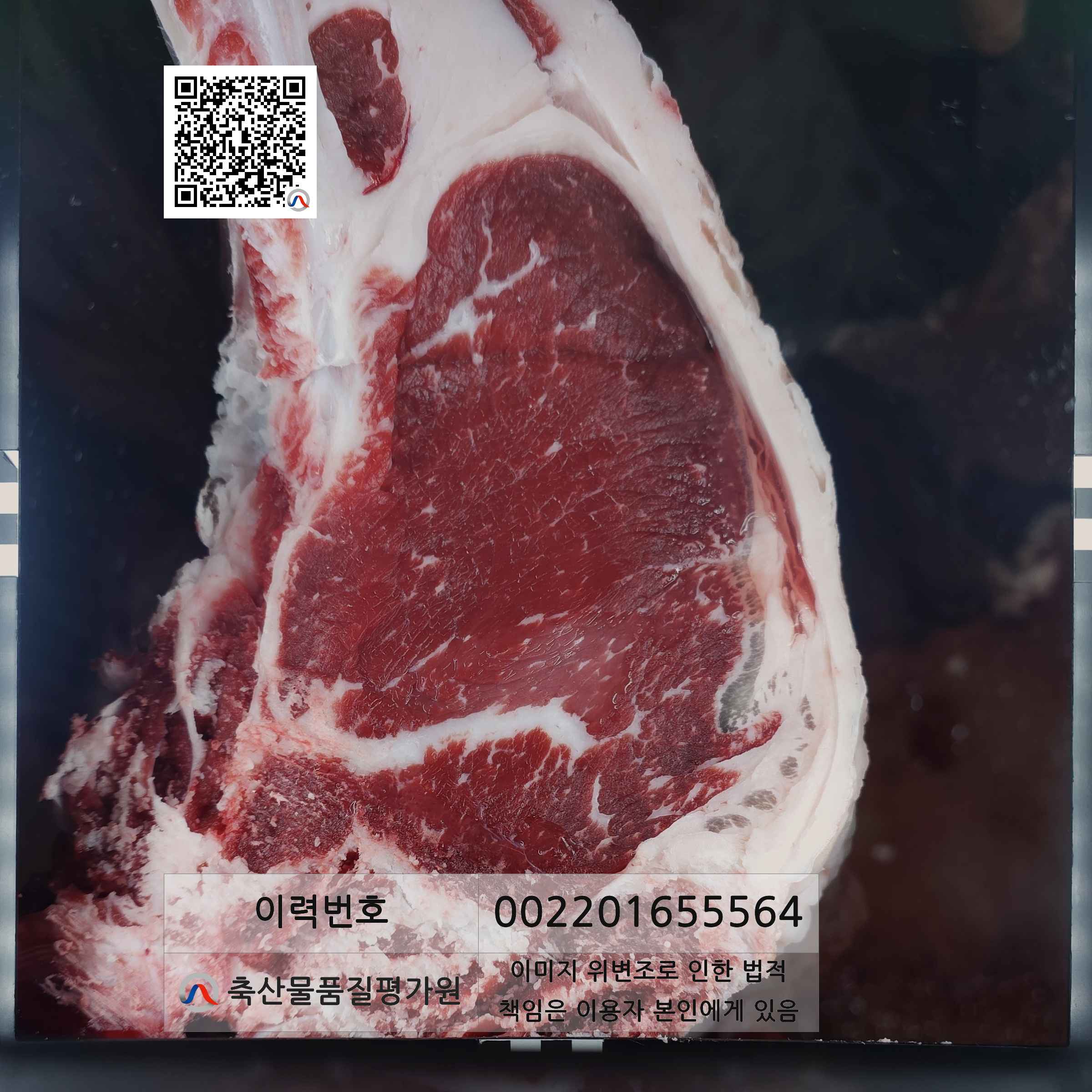 등심단면적 사진