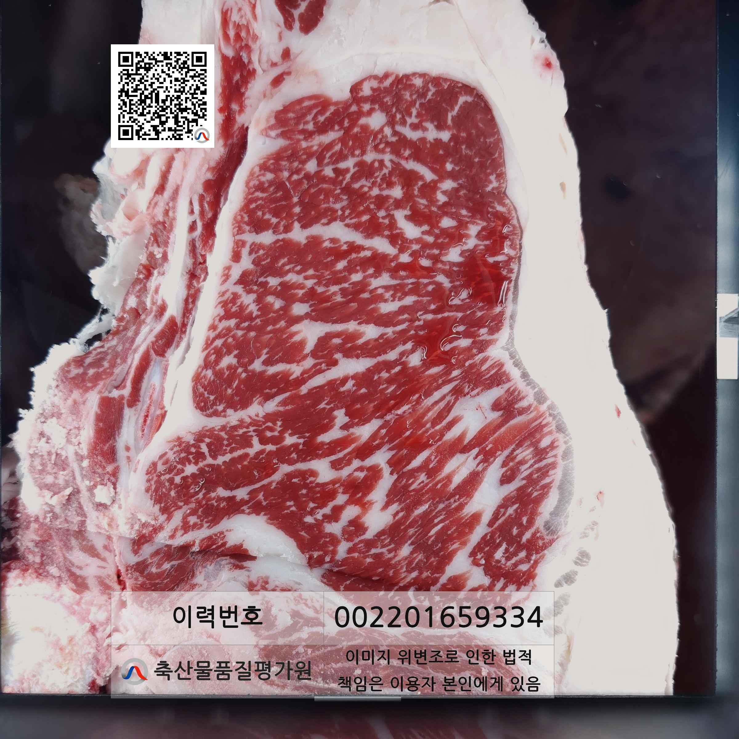 등심단면적 사진