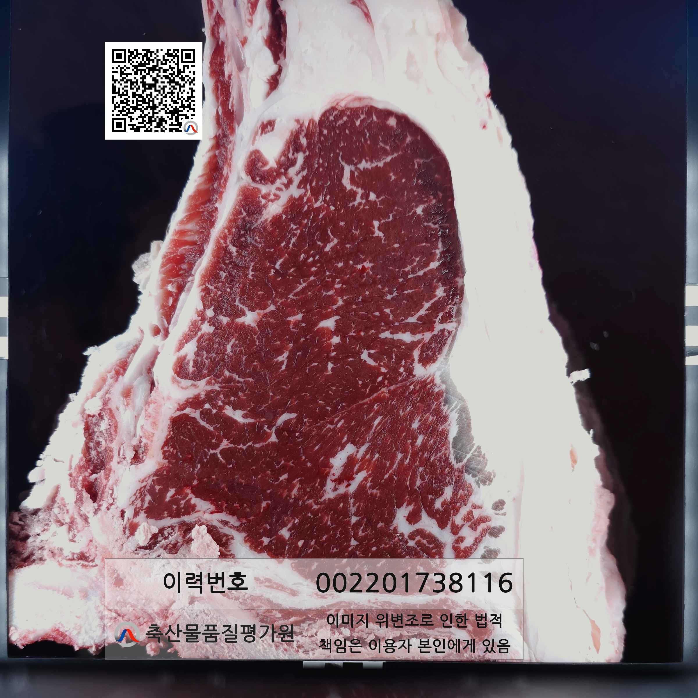 등심단면적 사진