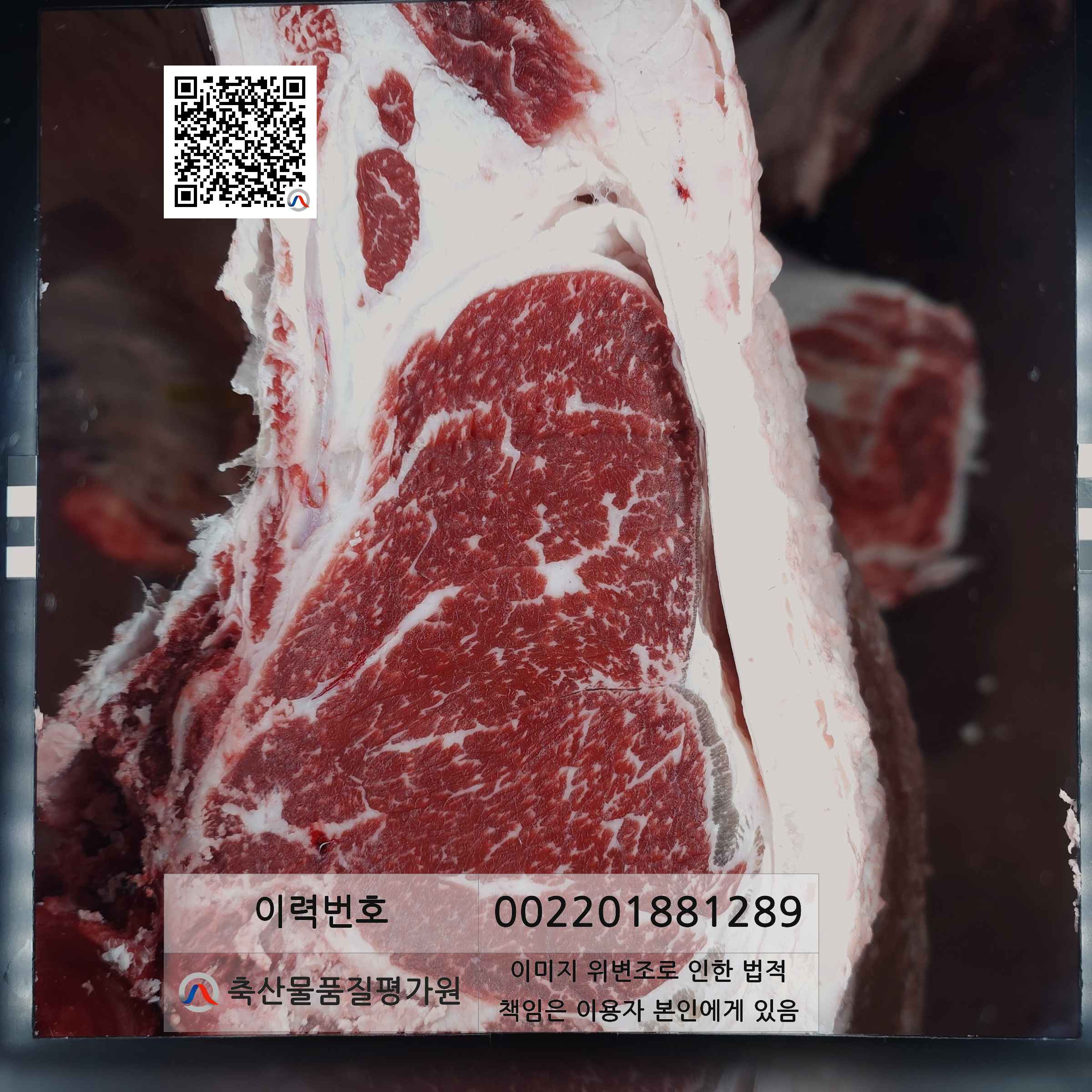 등심단면적 사진