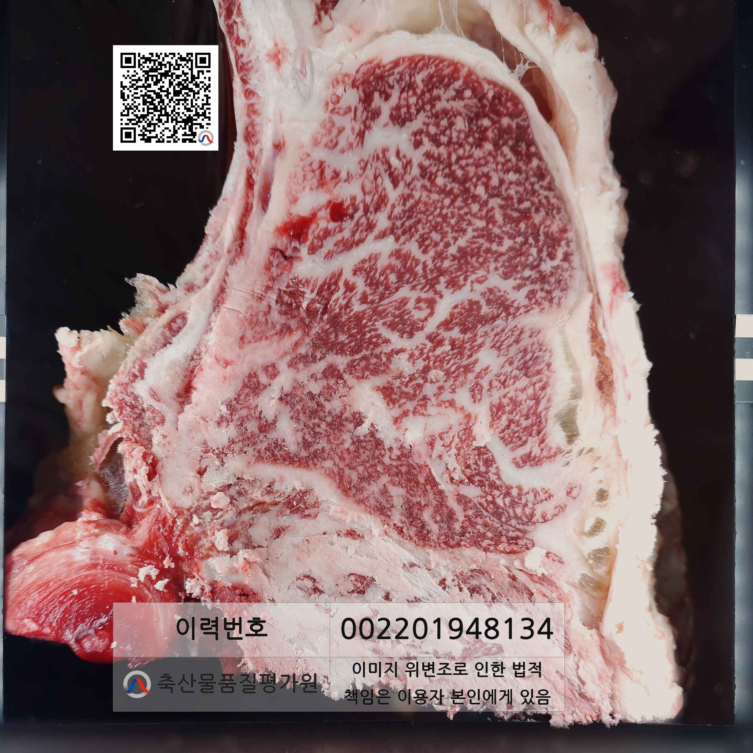 등심단면적 사진
