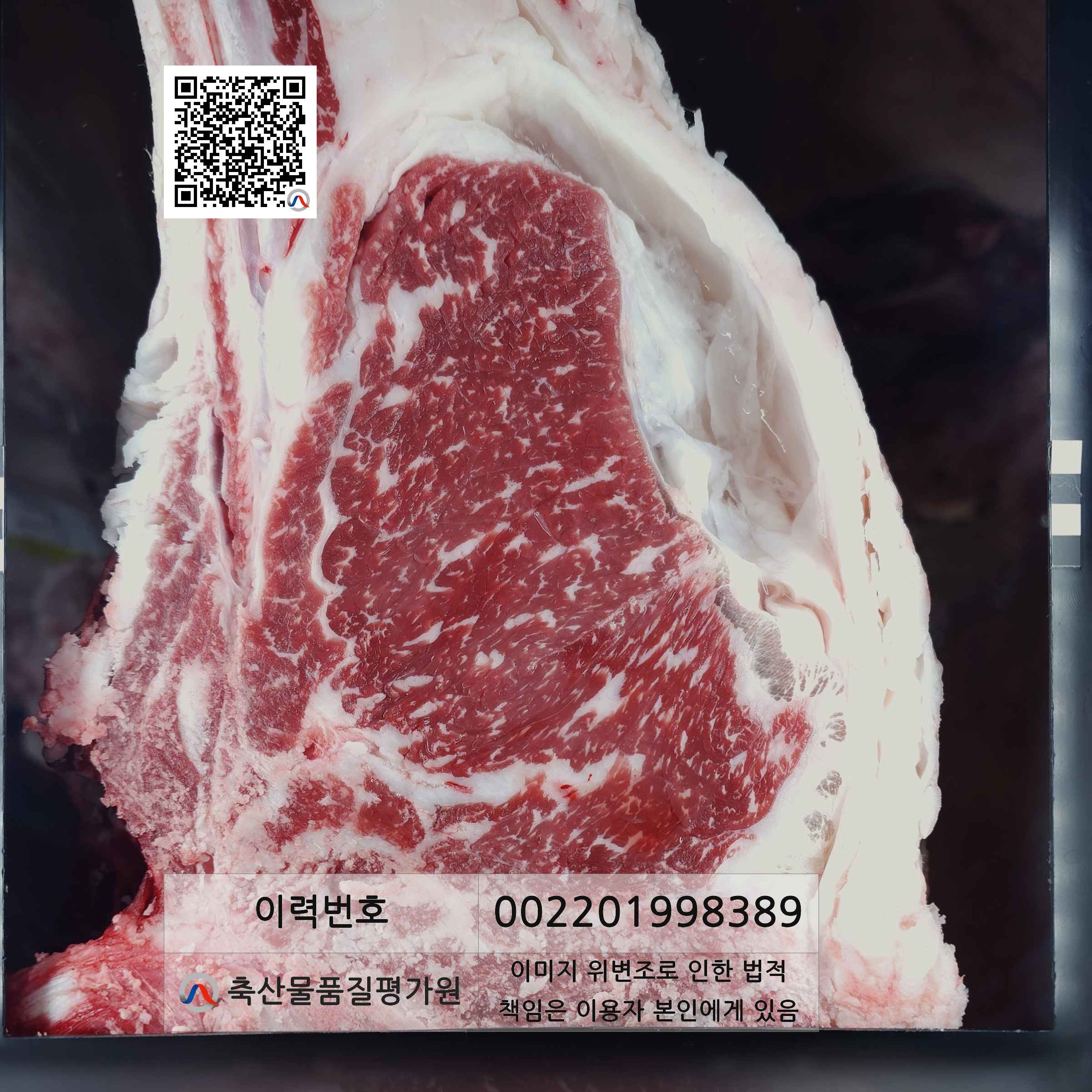 등심단면적 사진
