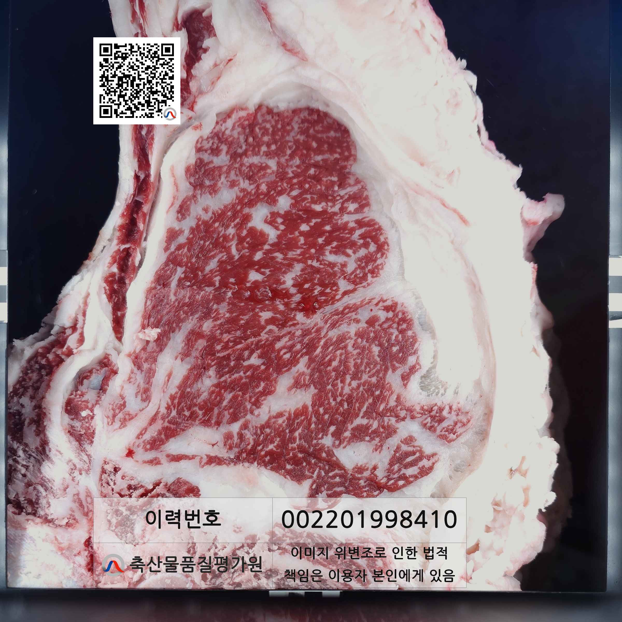 등심단면적 사진