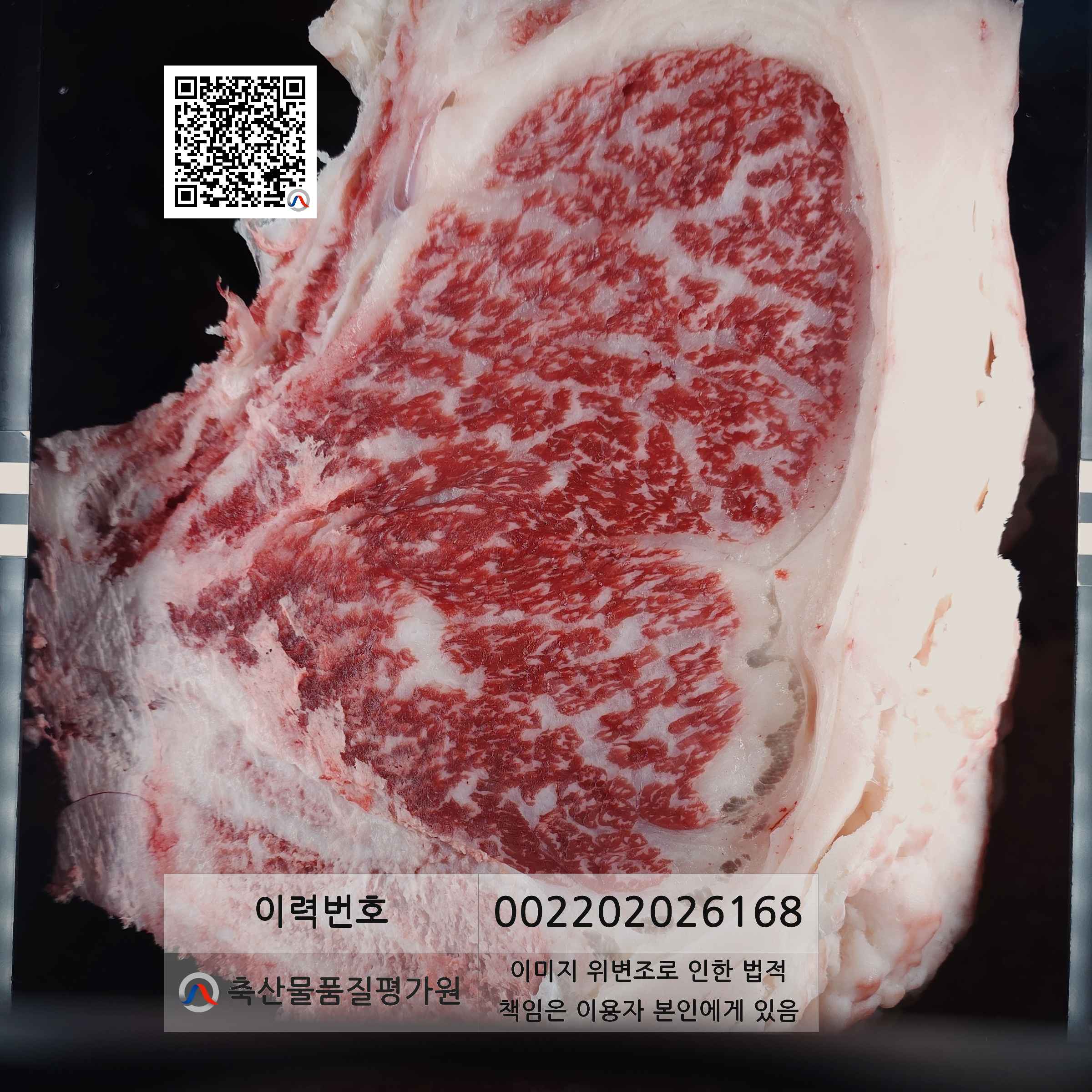 등심단면적 사진