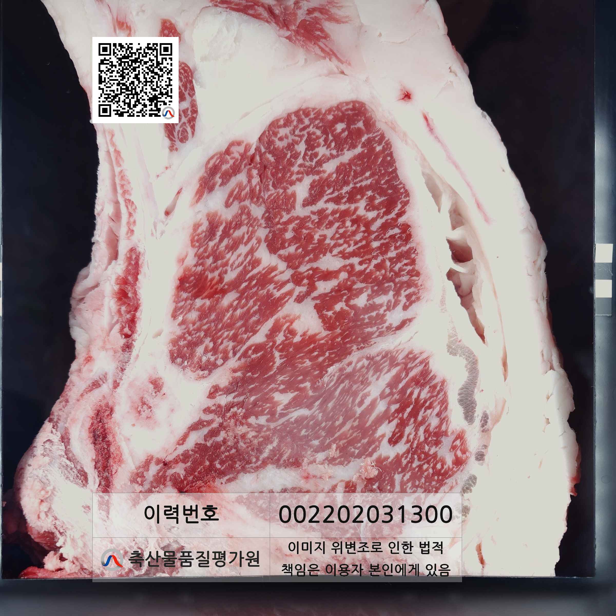 등심단면적 사진