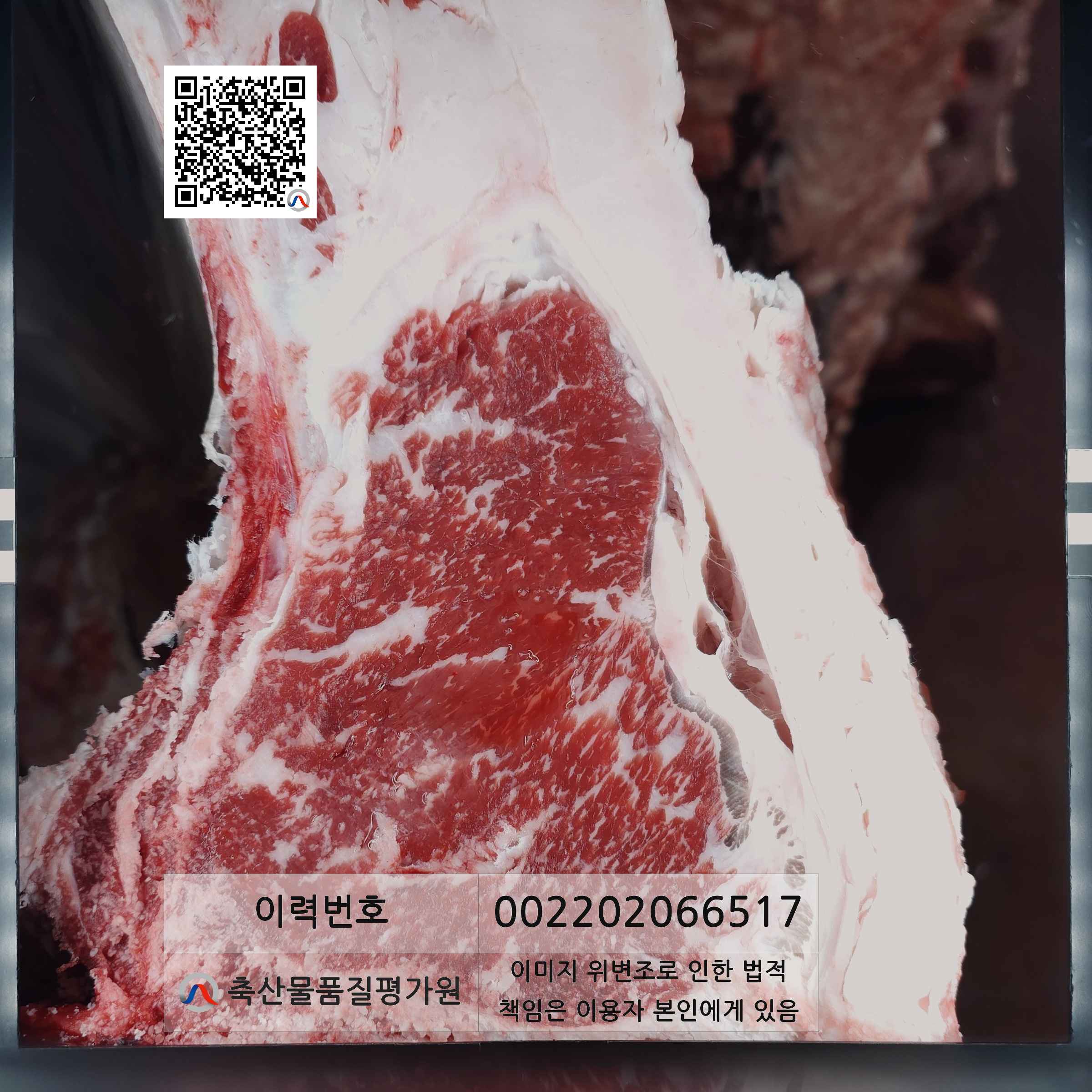 등심단면적 사진