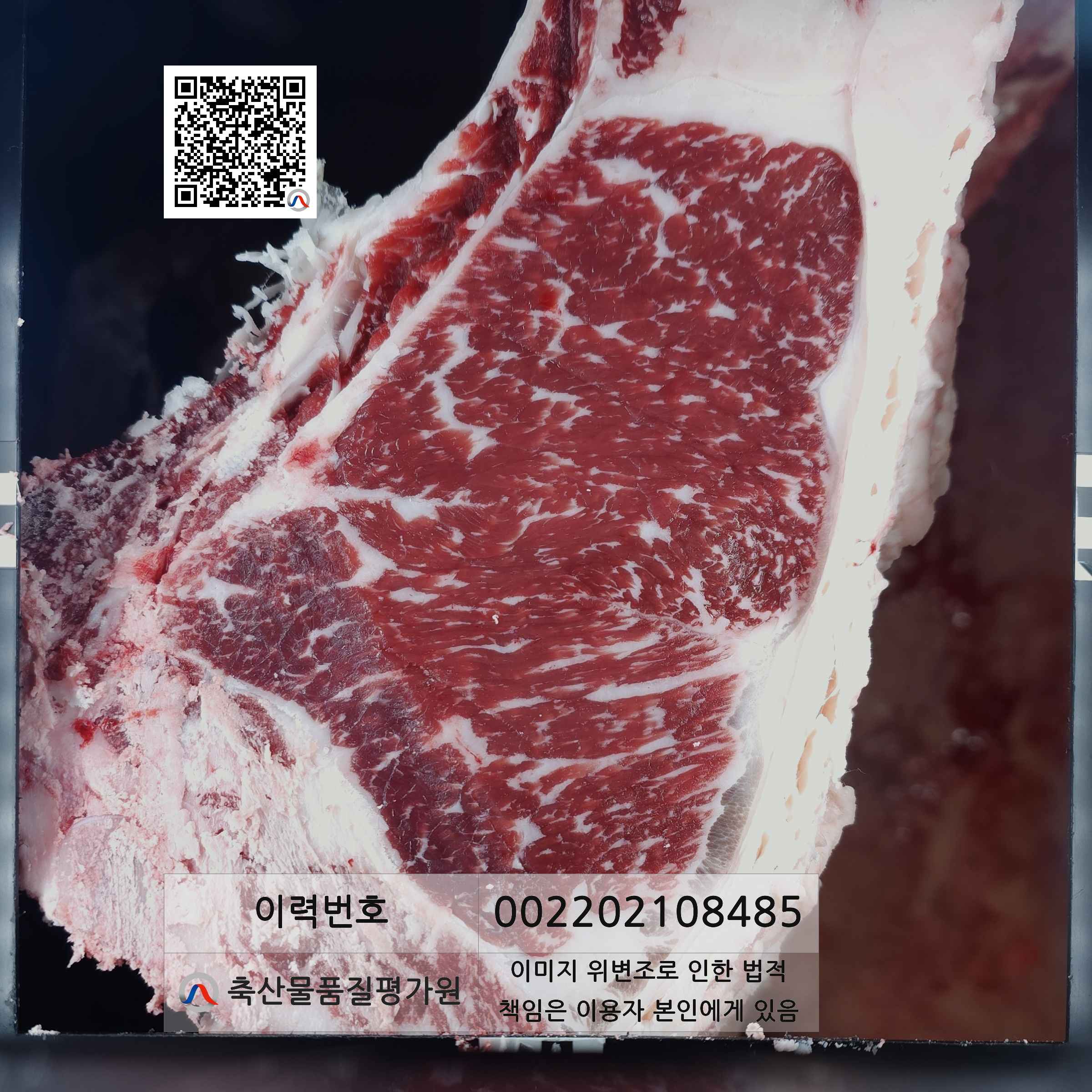 등심단면적 사진