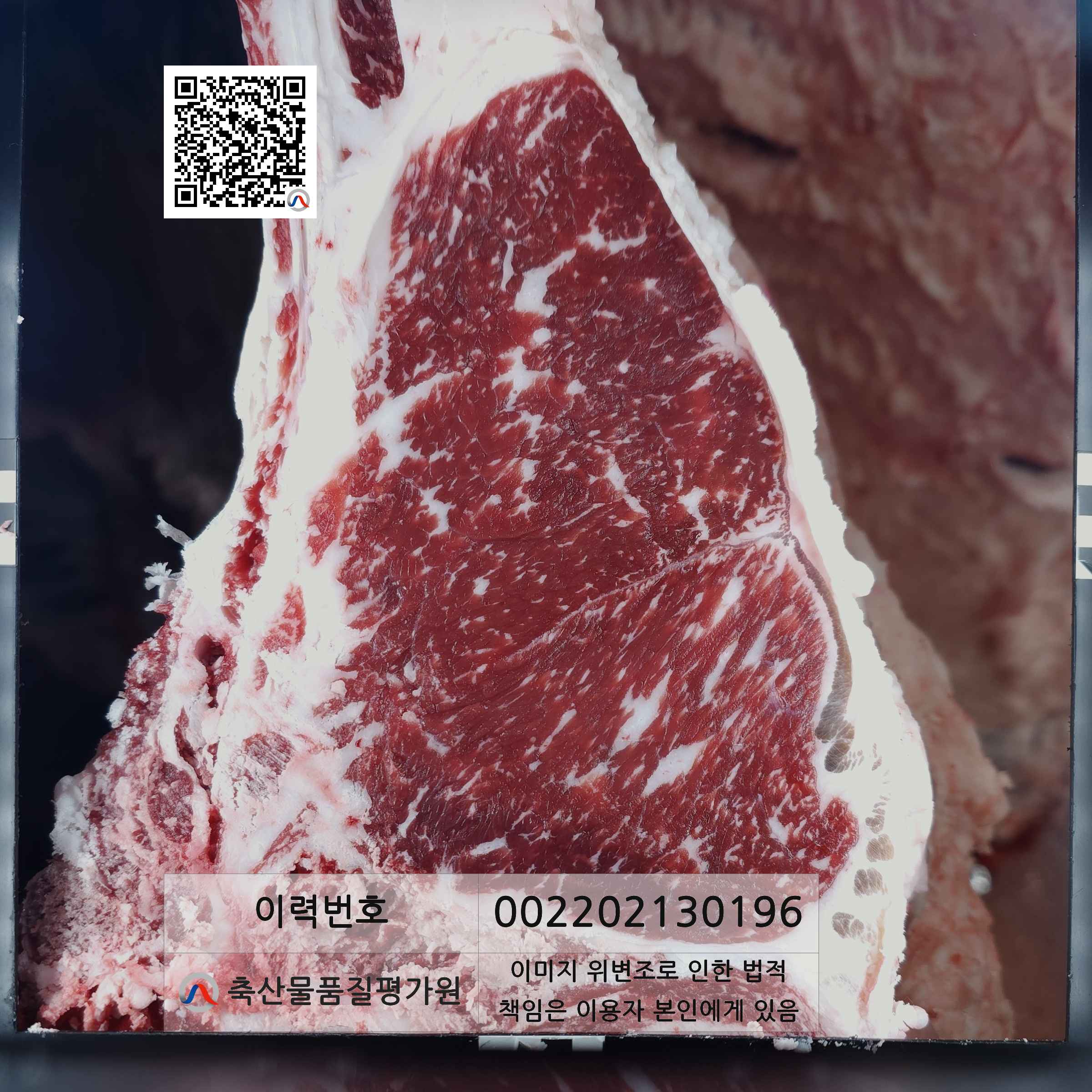 등심단면적 사진