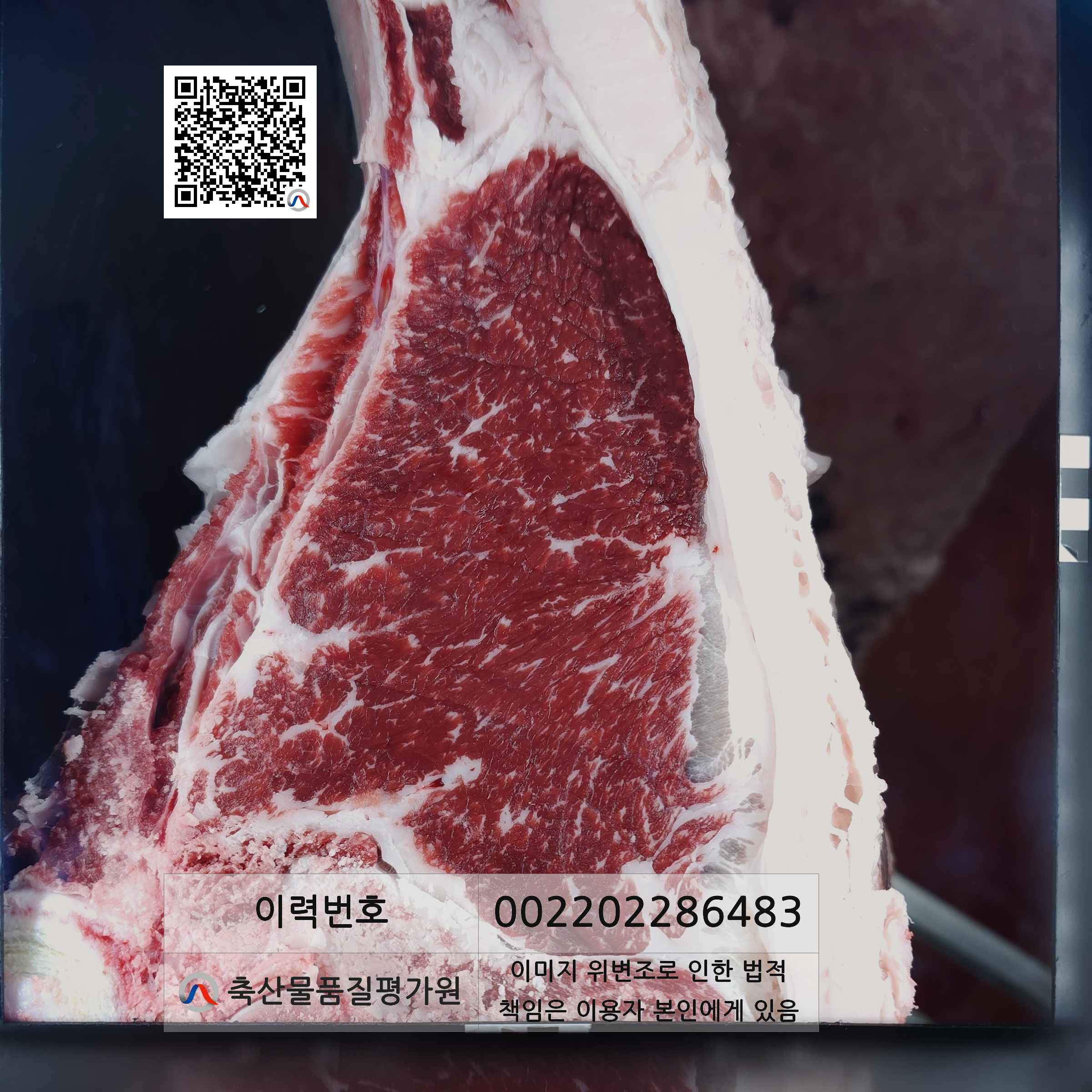 등심단면적 사진