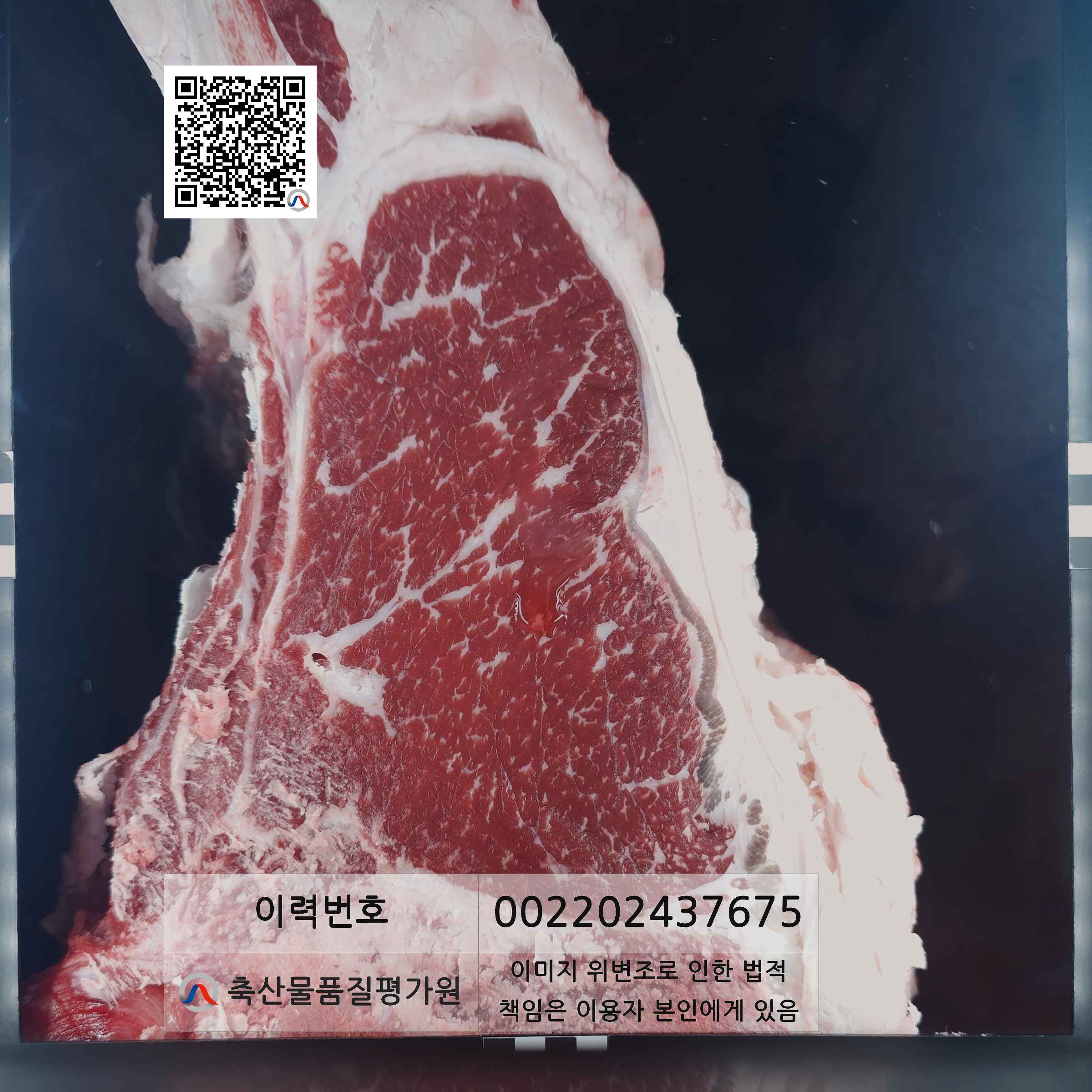 등심단면적 사진