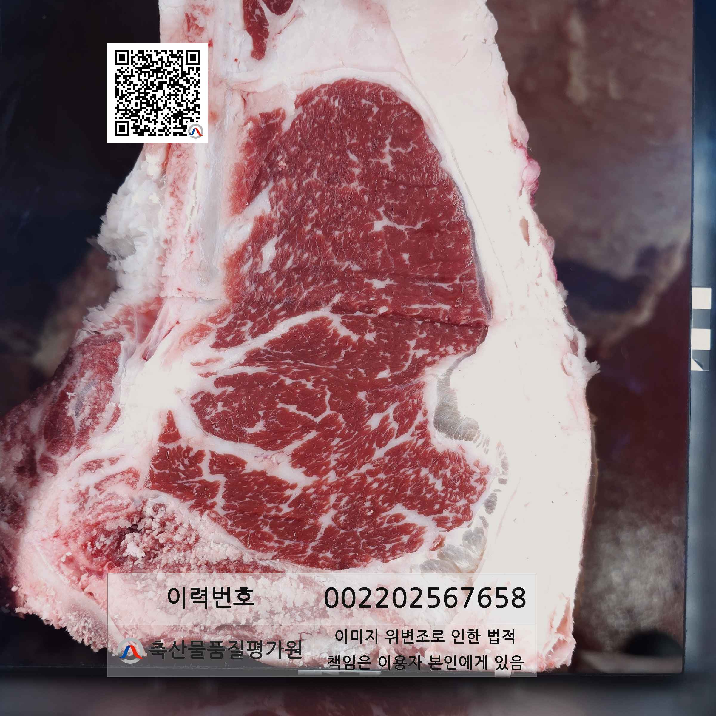 등심단면적 사진