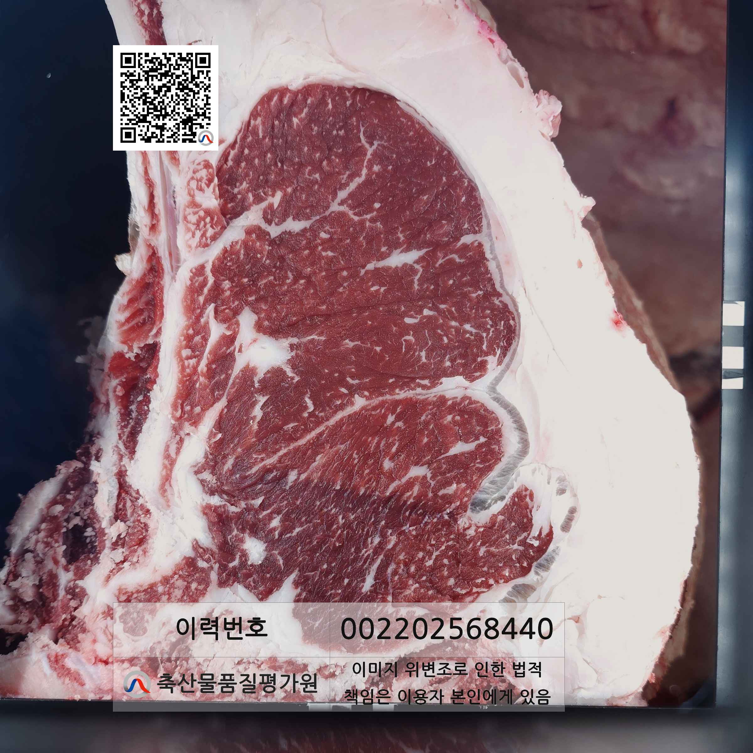 등심단면적 사진