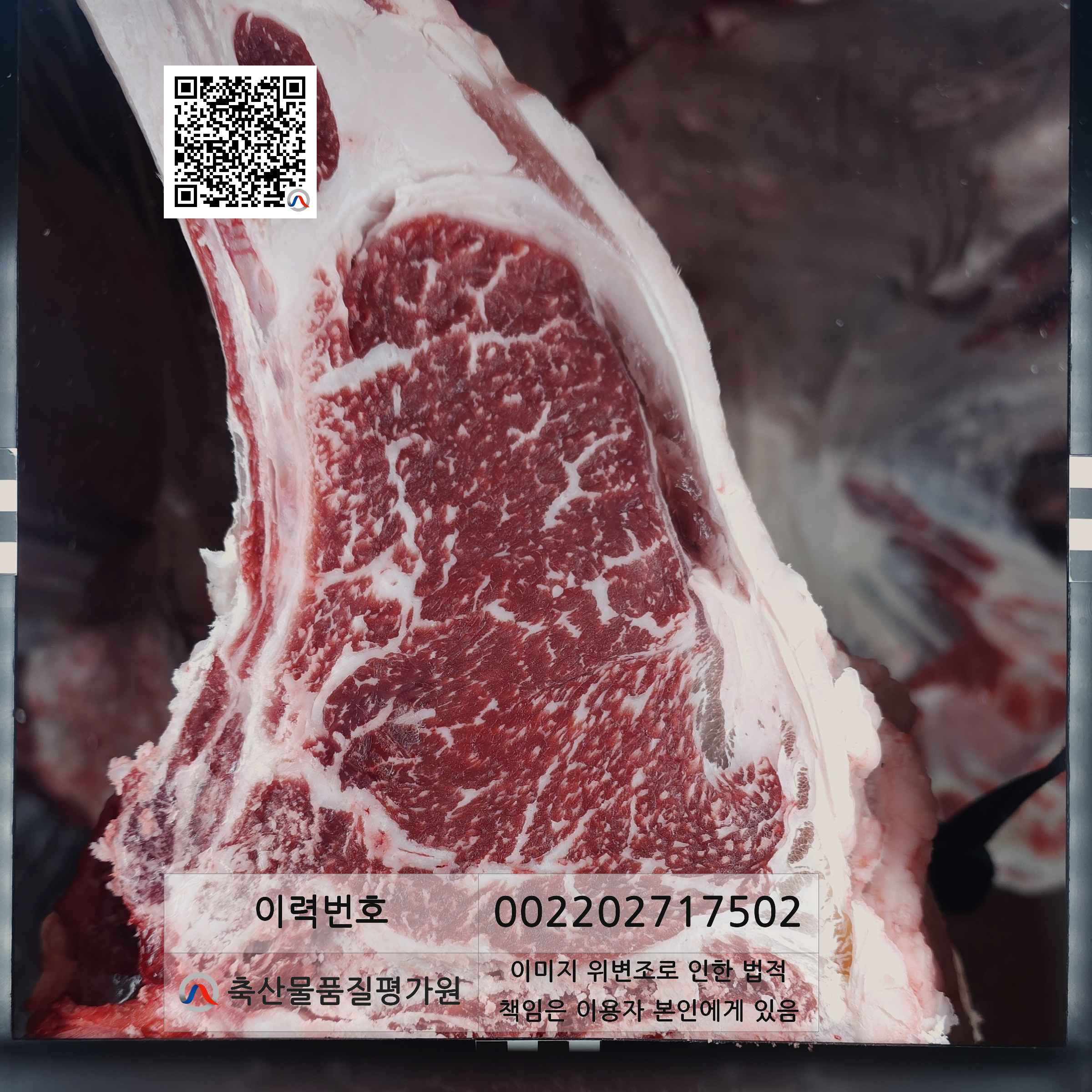 등심단면적 사진