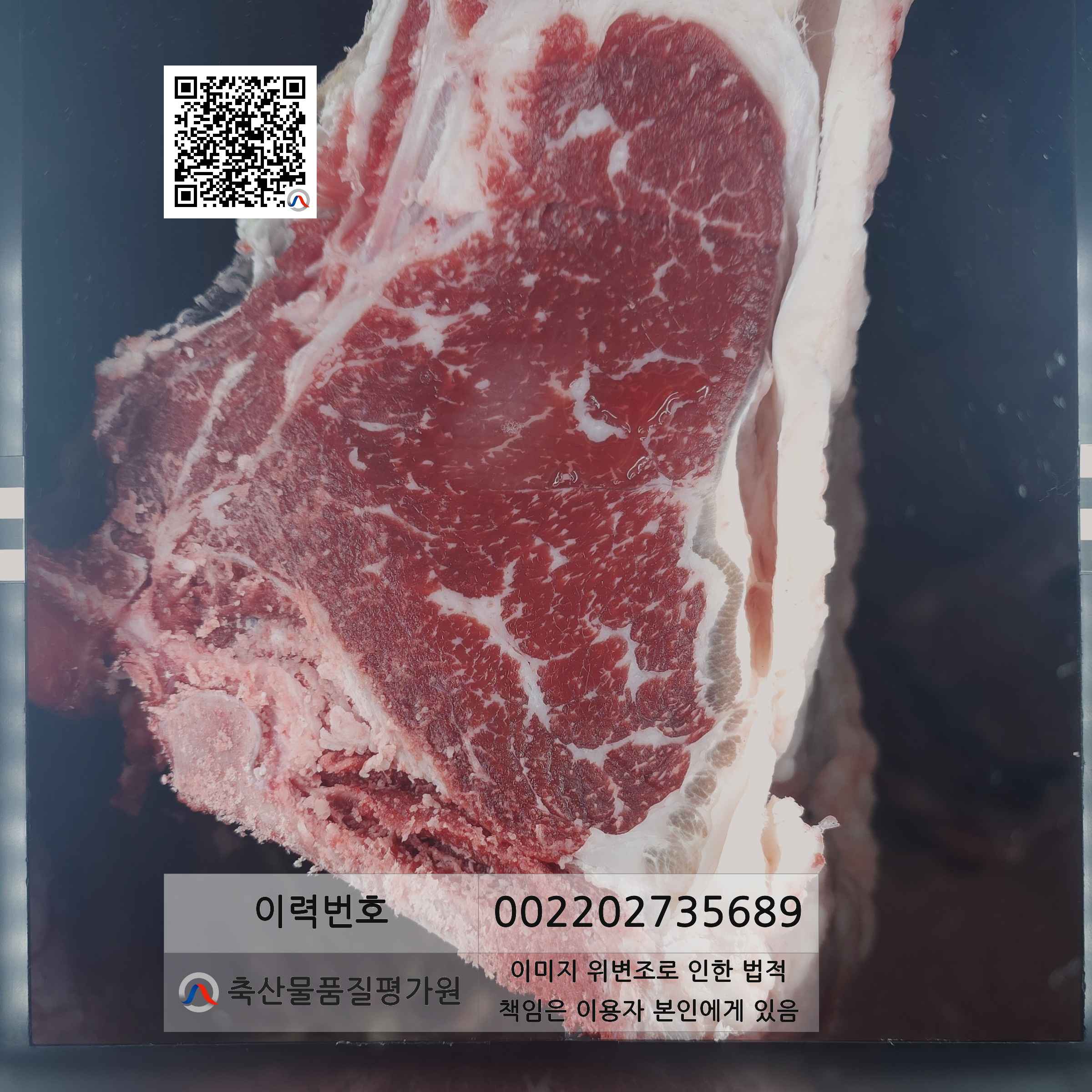 등심단면적 사진