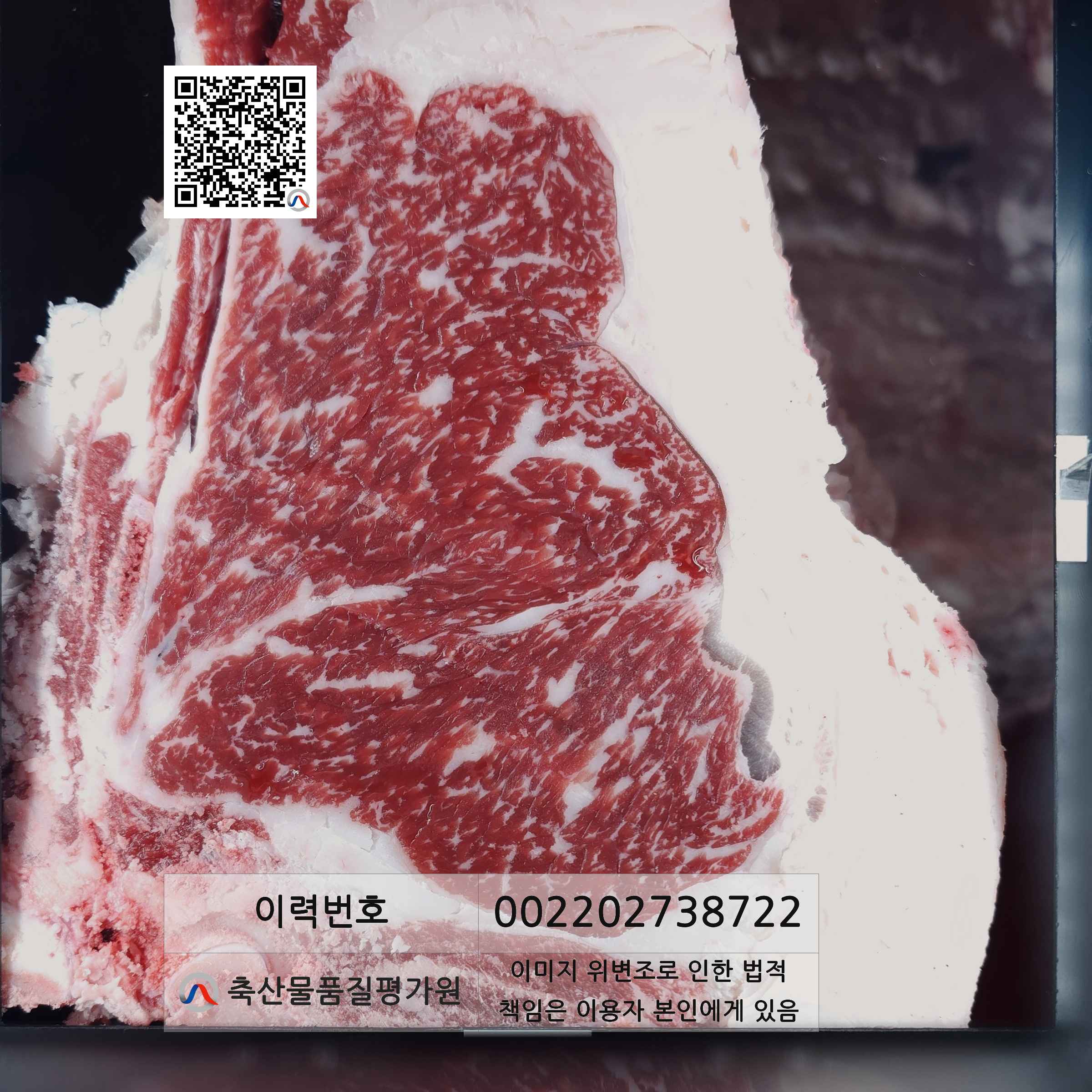 등심단면적 사진