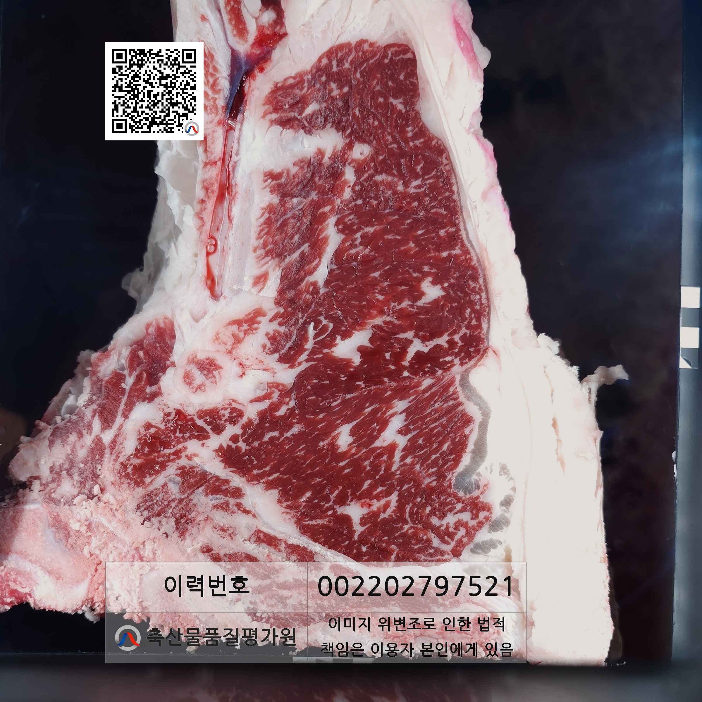 등심단면적 사진