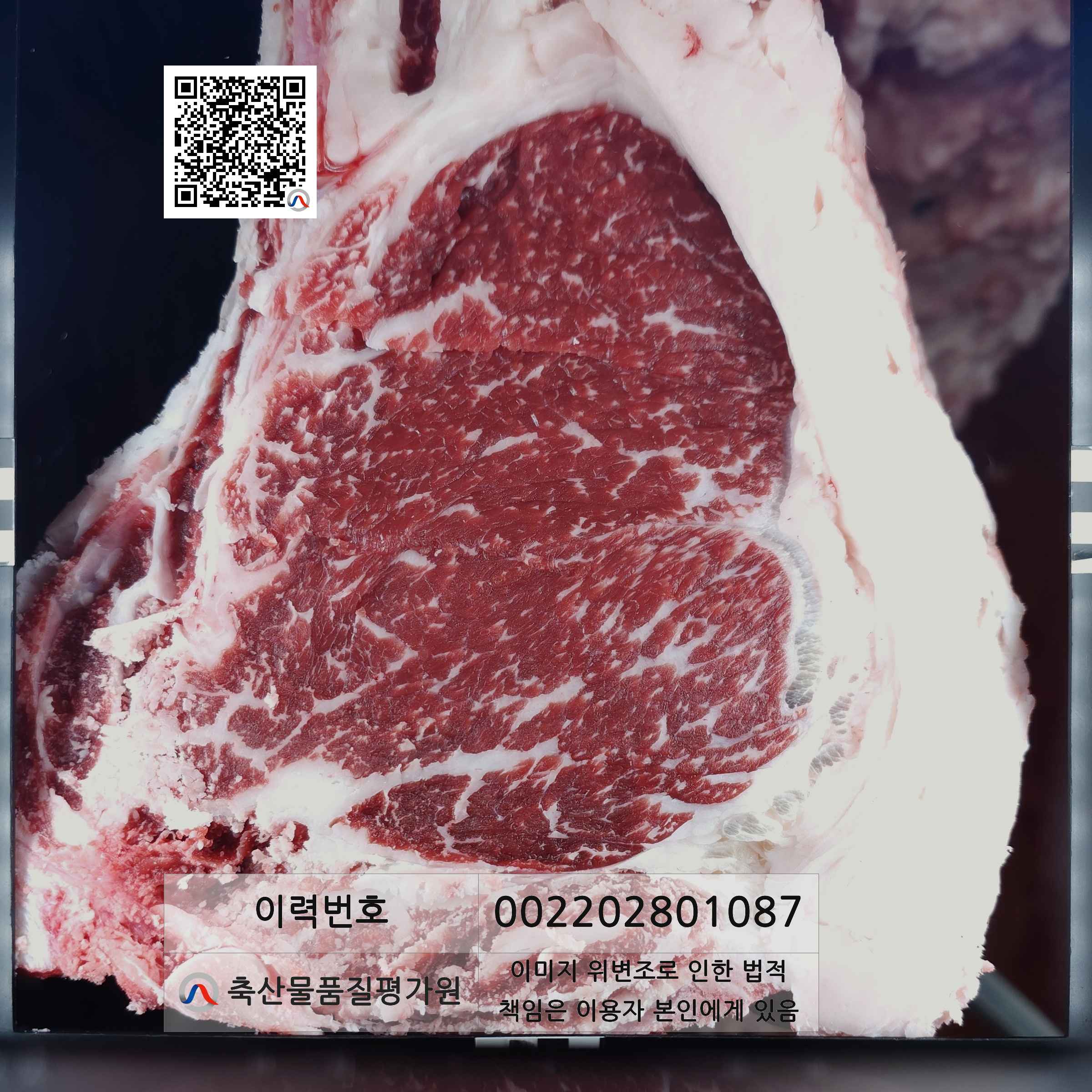 등심단면적 사진