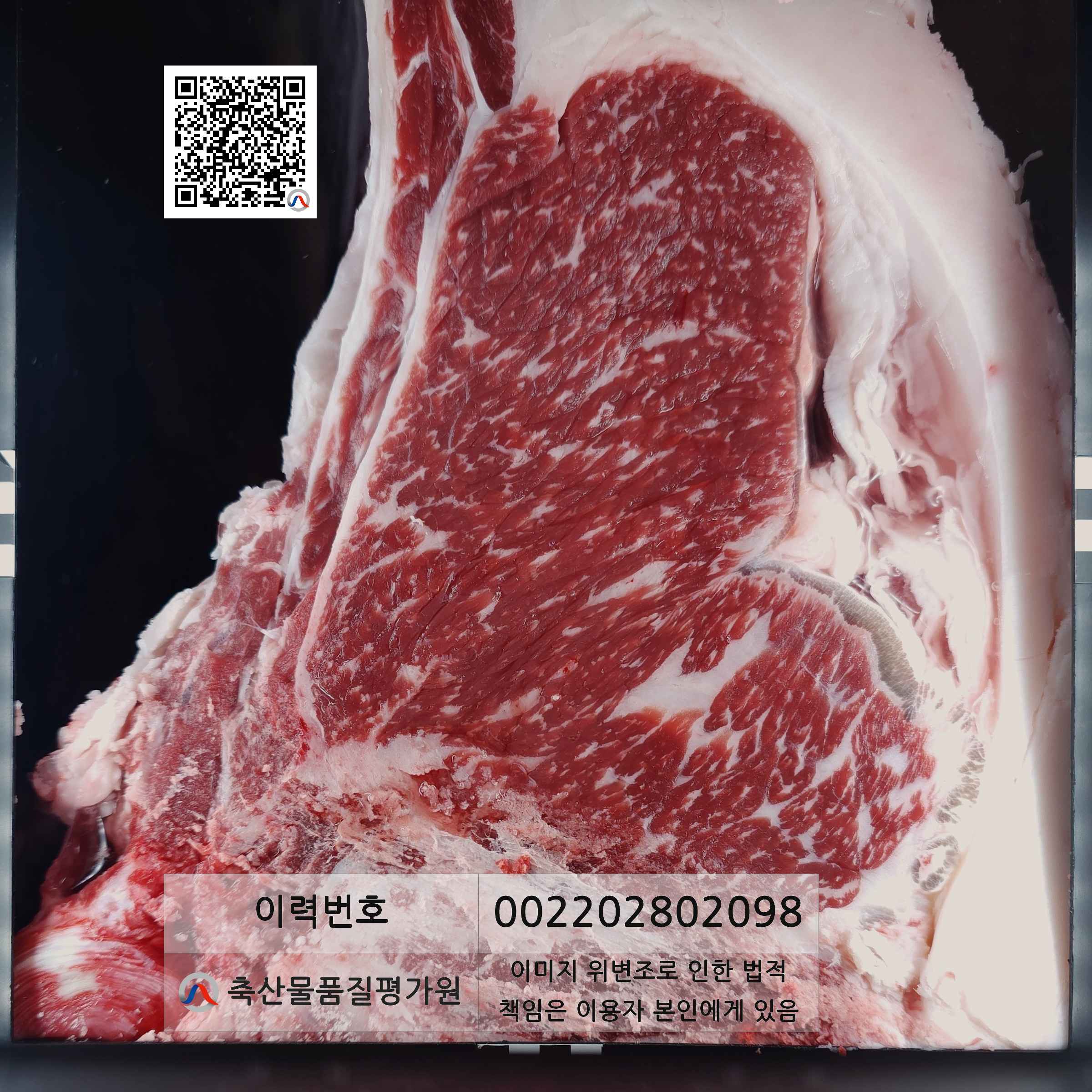 등심단면적 사진