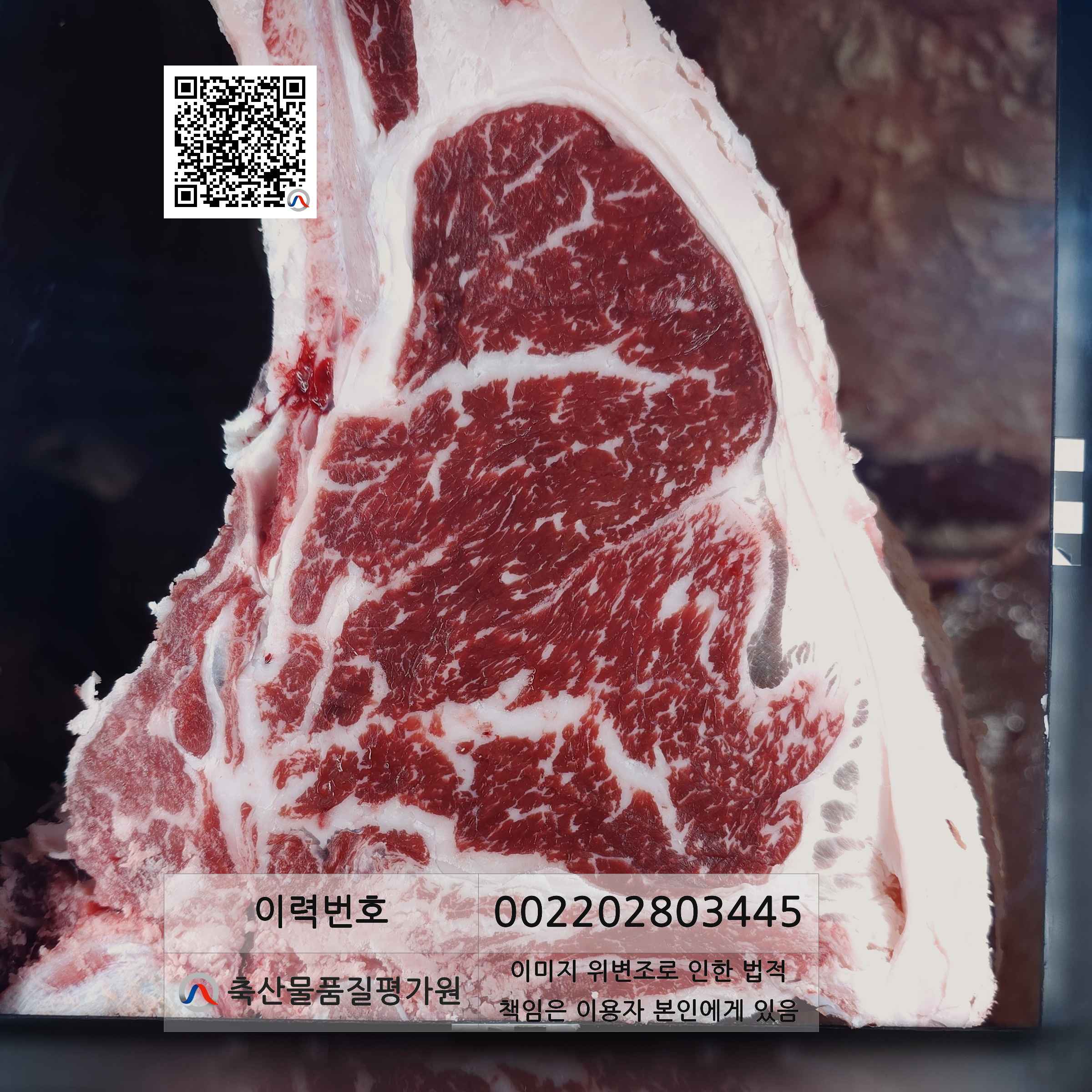 등심단면적 사진