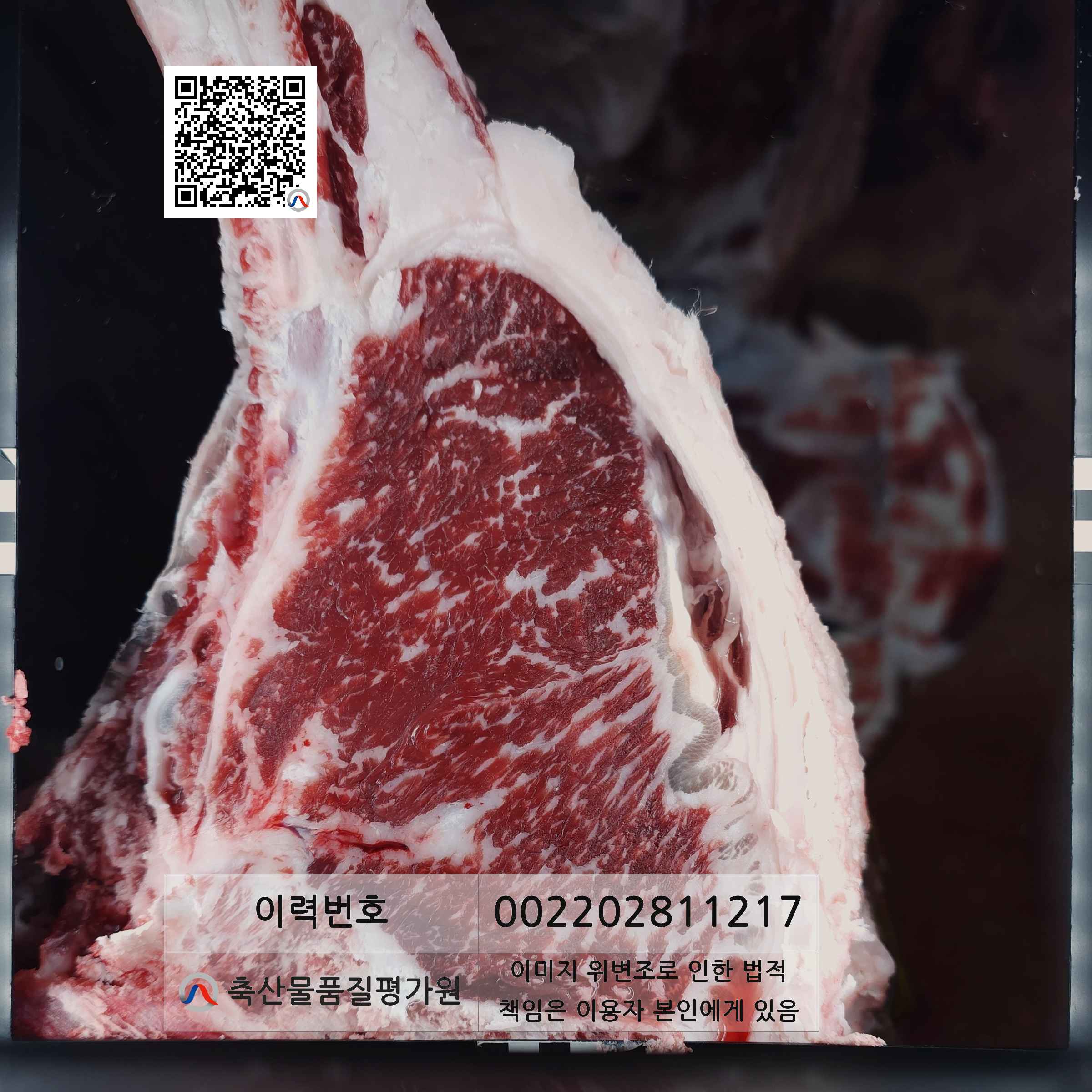 등심단면적 사진