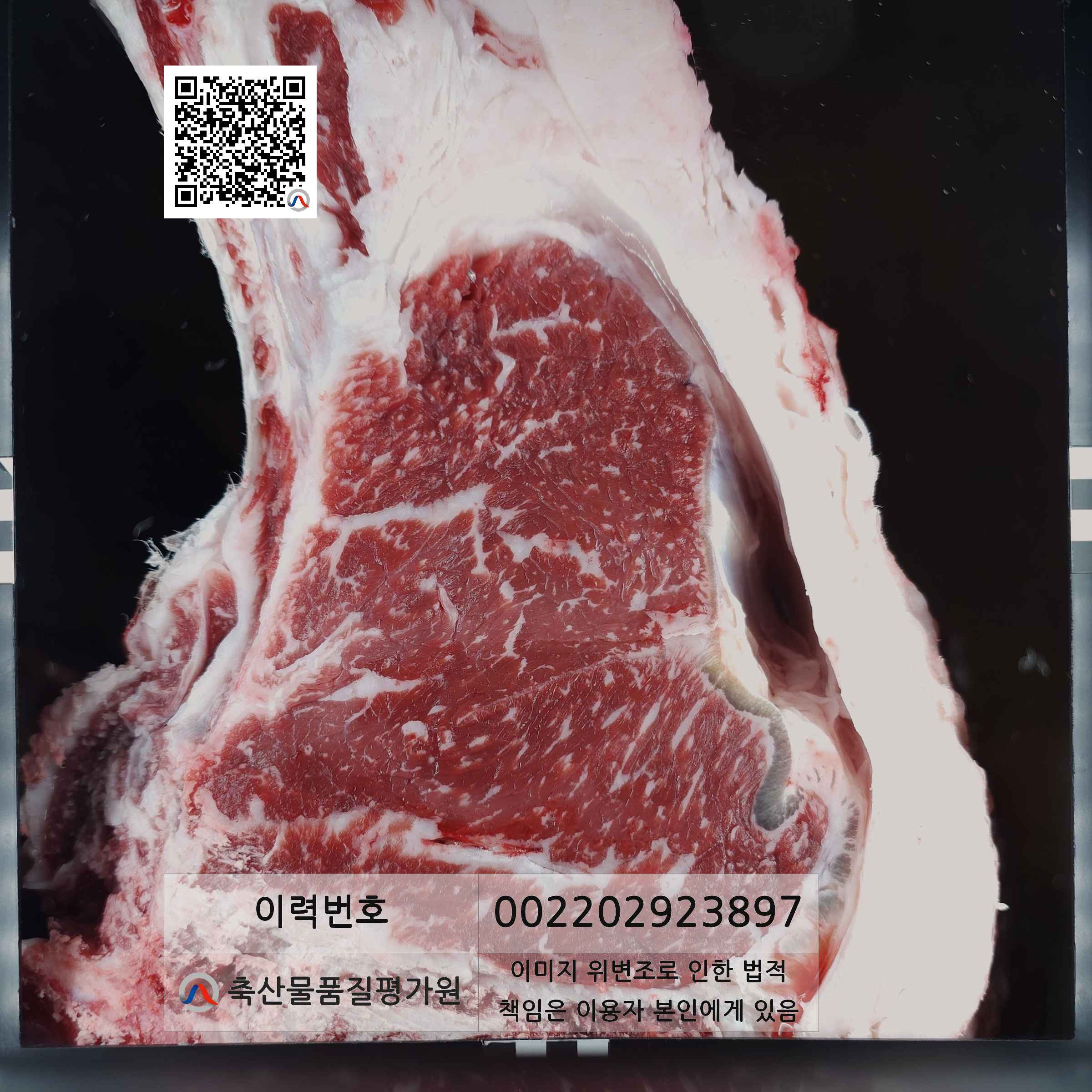 등심단면적 사진
