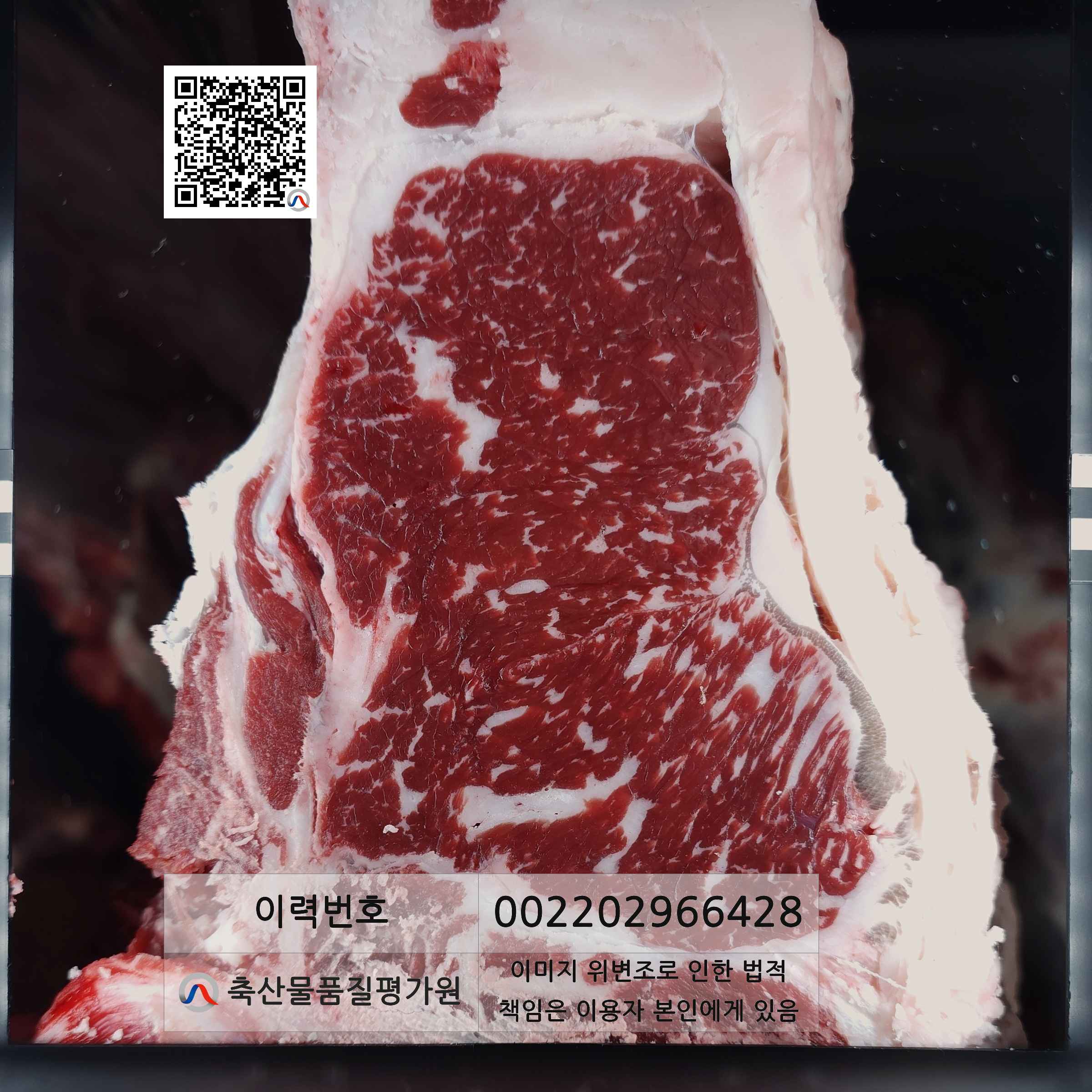 등심단면적 사진