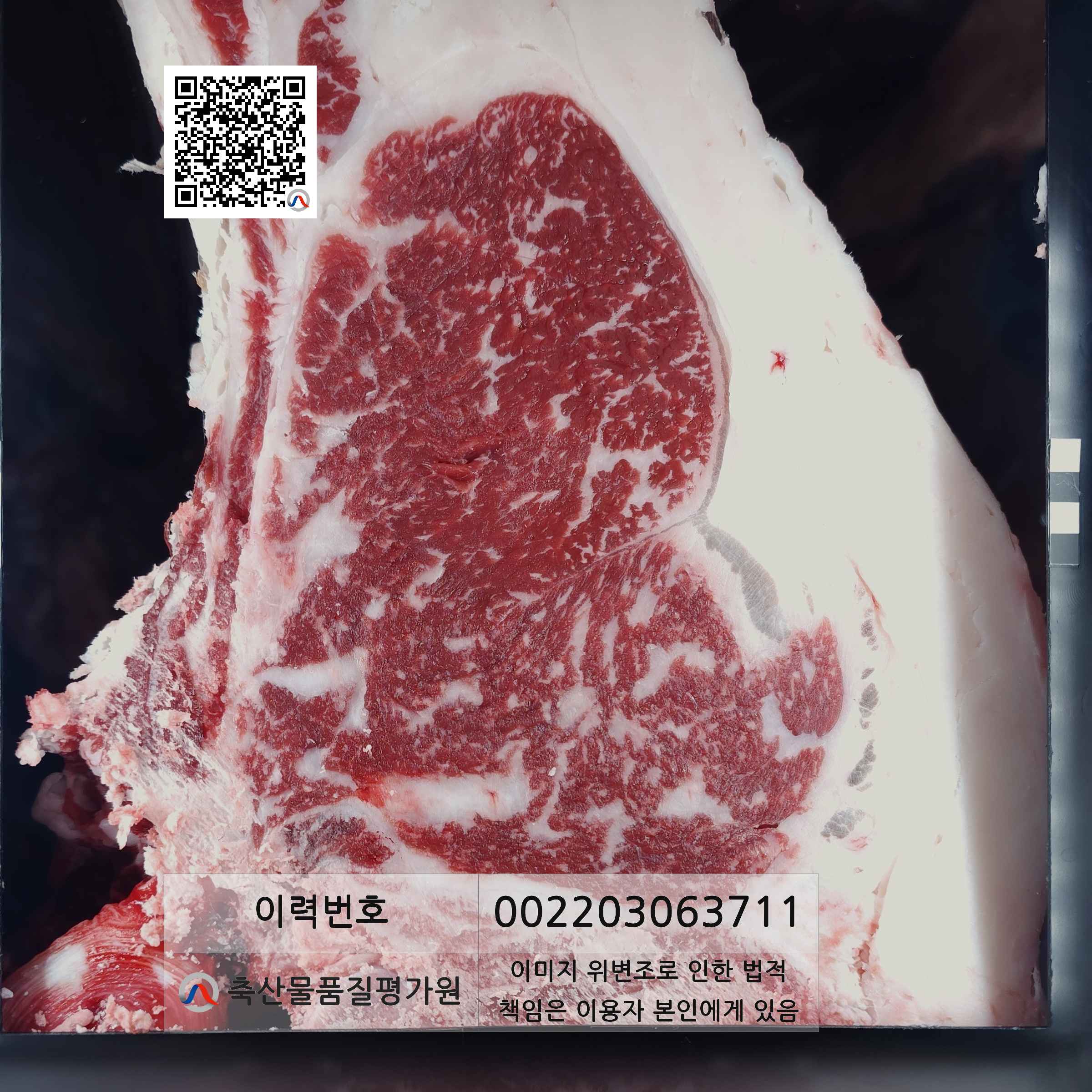 등심단면적 사진