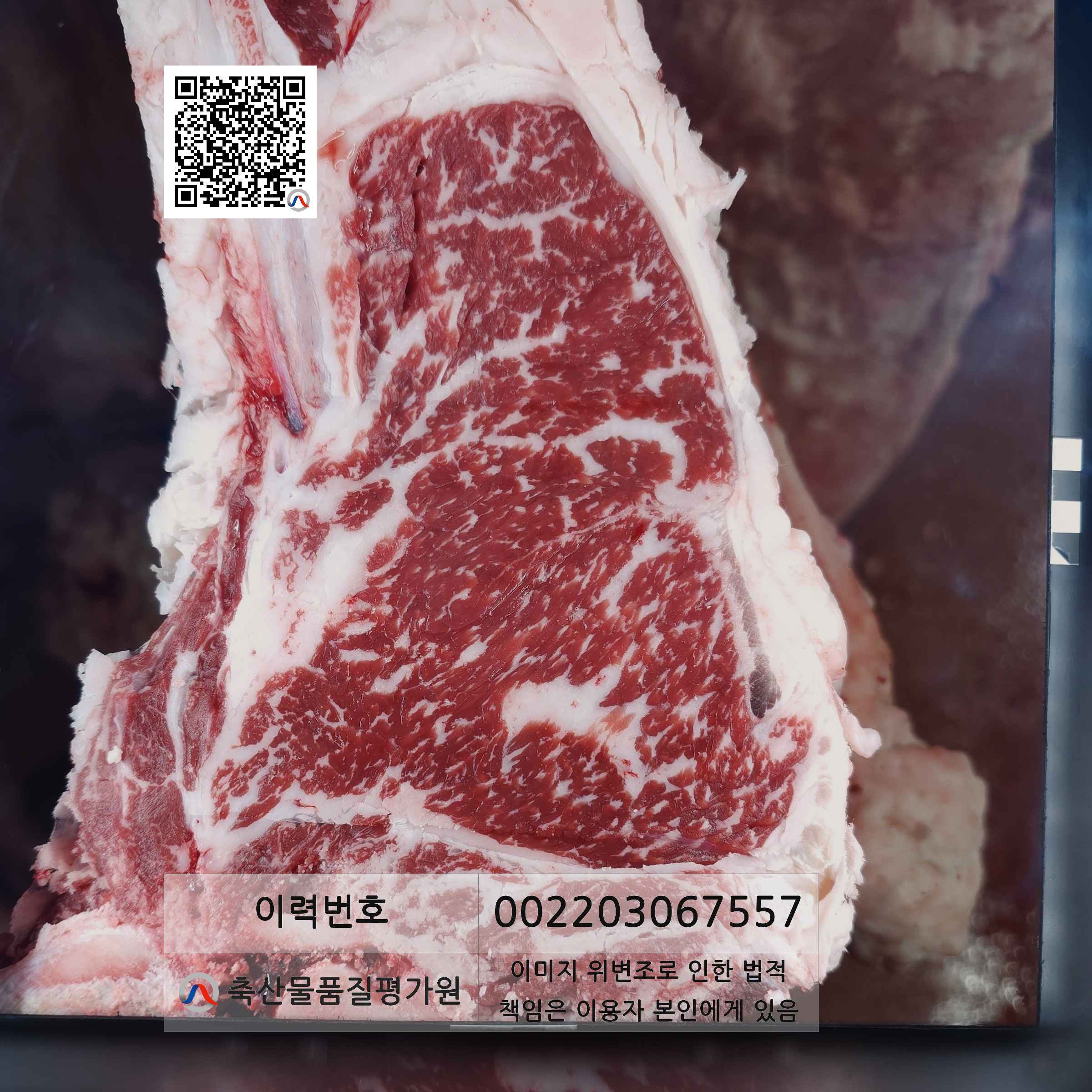 등심단면적 사진