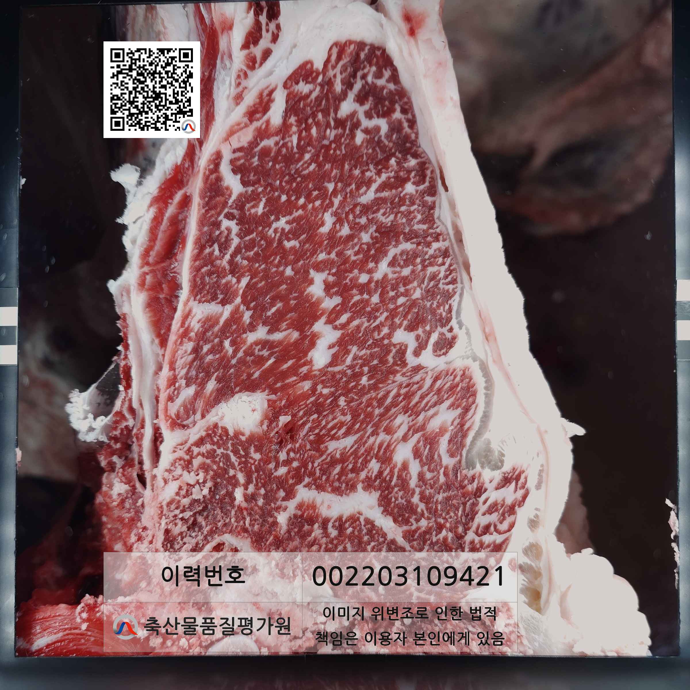 등심단면적 사진