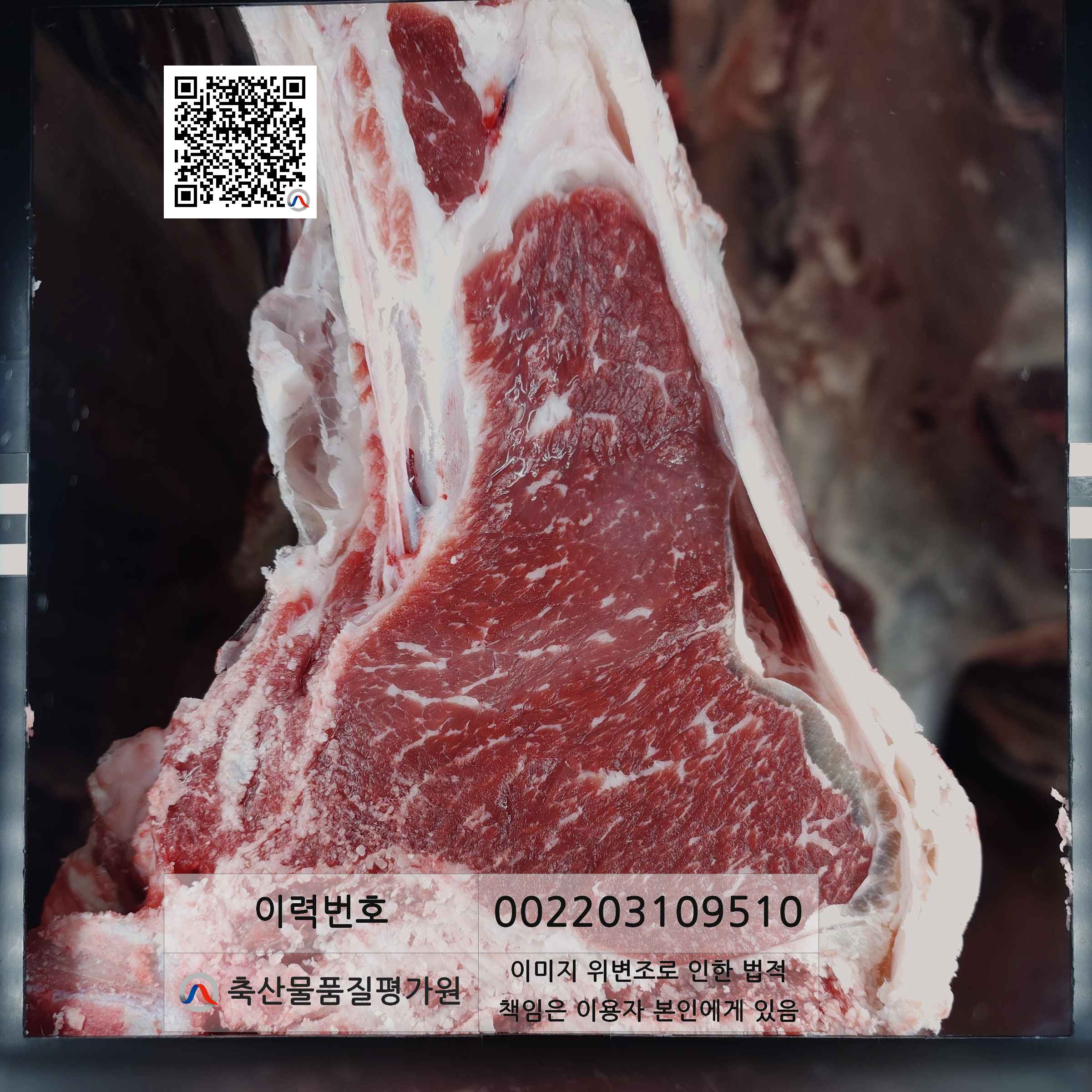 등심단면적 사진