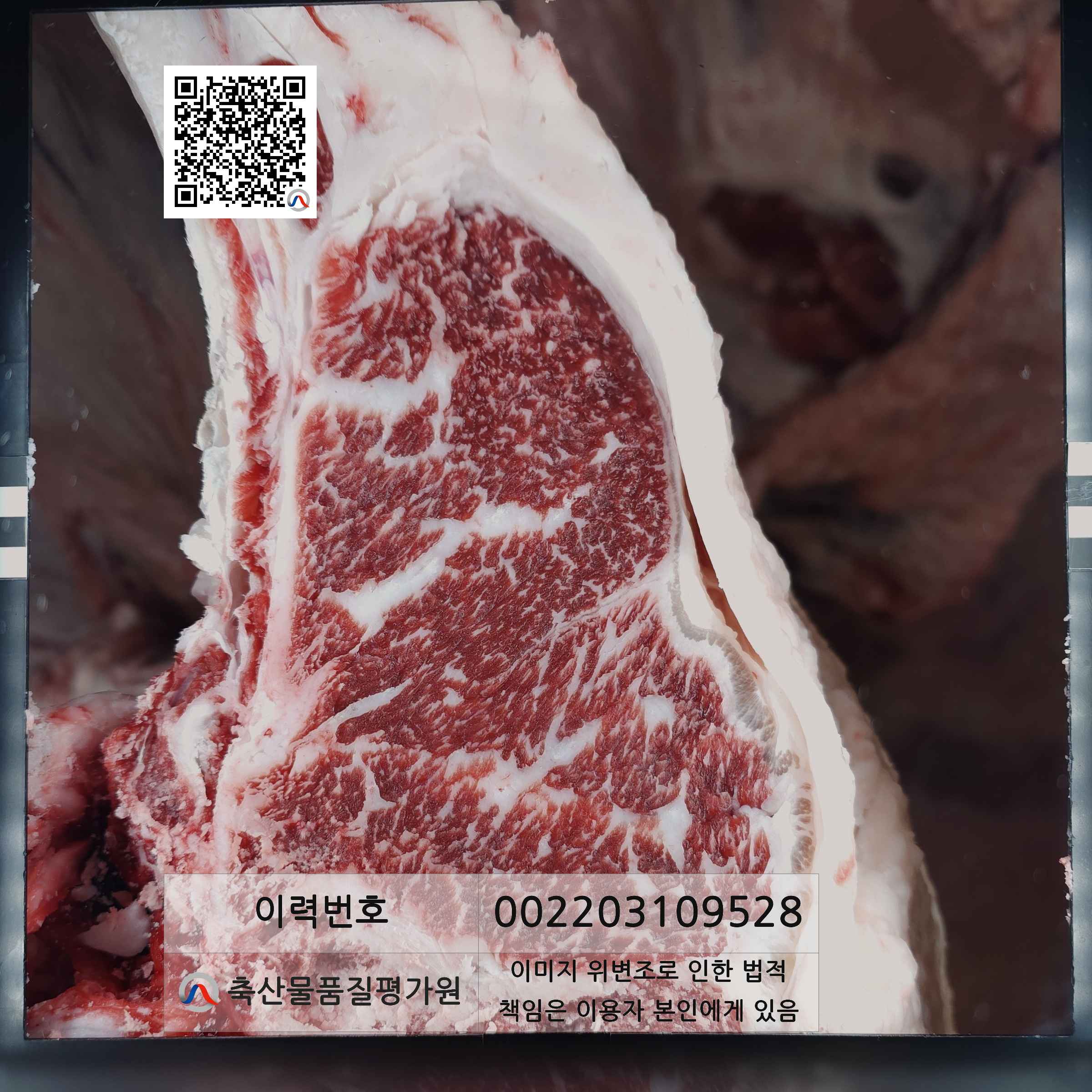 등심단면적 사진